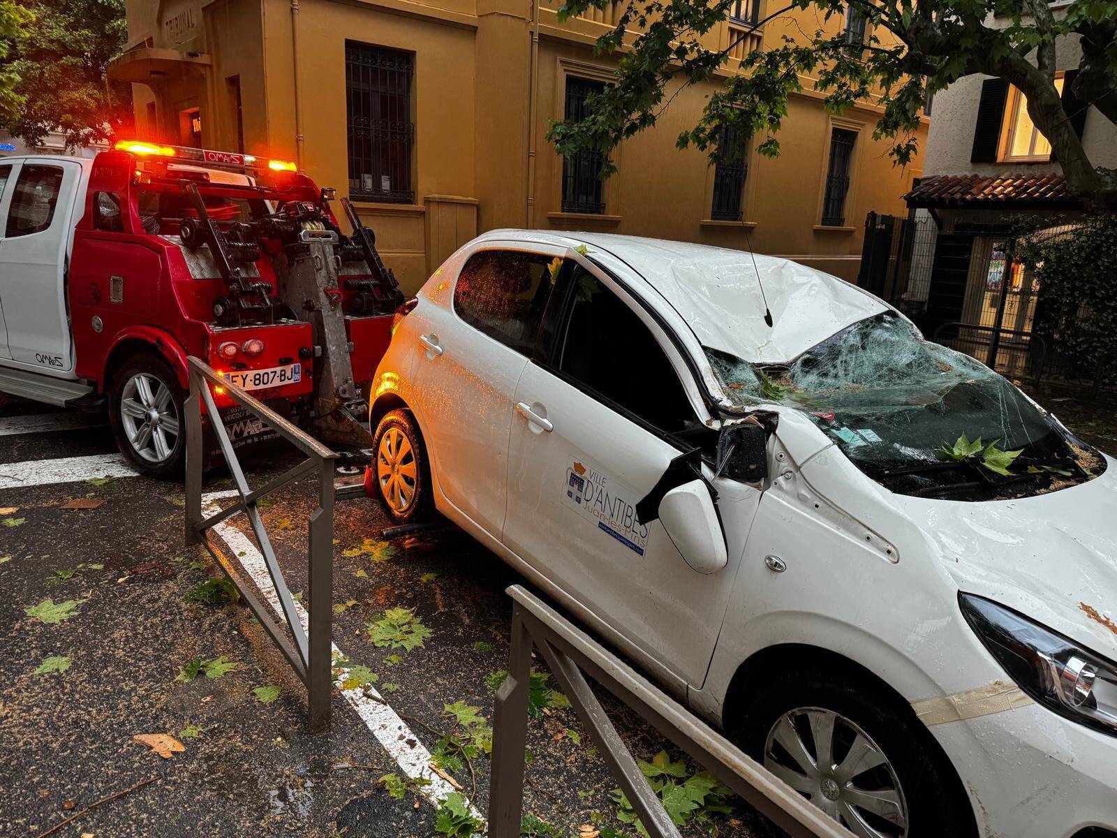 Alerte météo dans les Alpes-Maritimes: une branche se détache d'un platane et fracasse une voiture à Antibes
