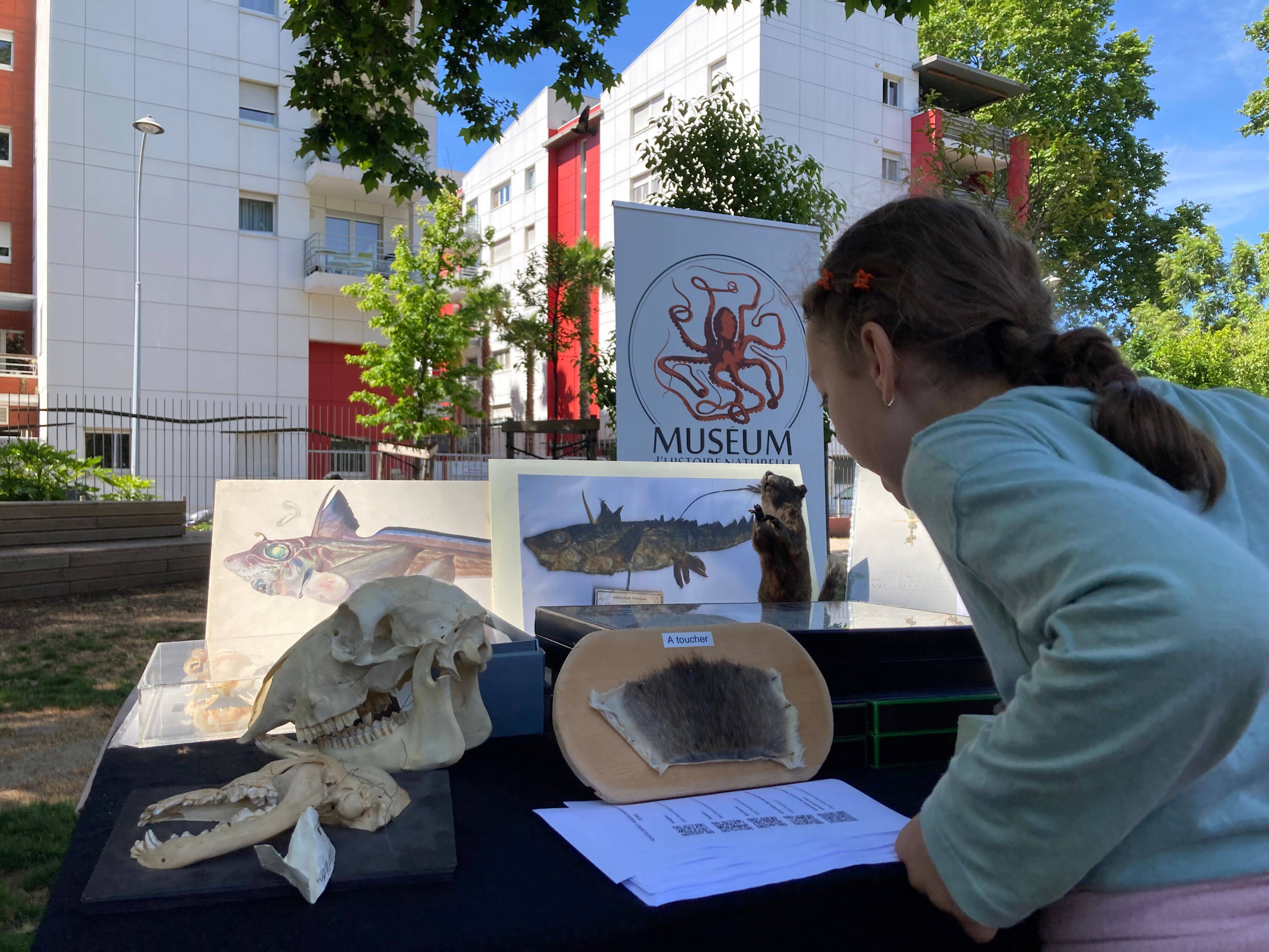 "Muséum itinérant": c'est quoi ce vélo cargo qui sillonne les jardins publics de Nice?