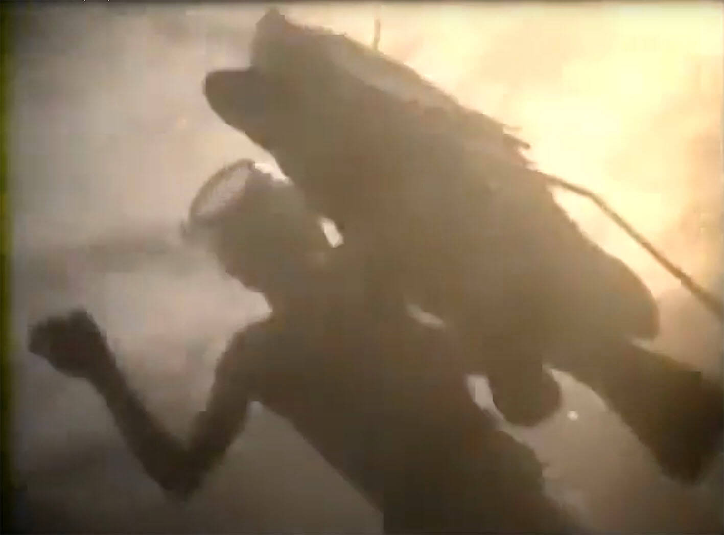 "Quand j'ai vu la taille des poissons, c'était à peine croyable": à quoi la Méditerranée ressemblait il y a 80 ans?