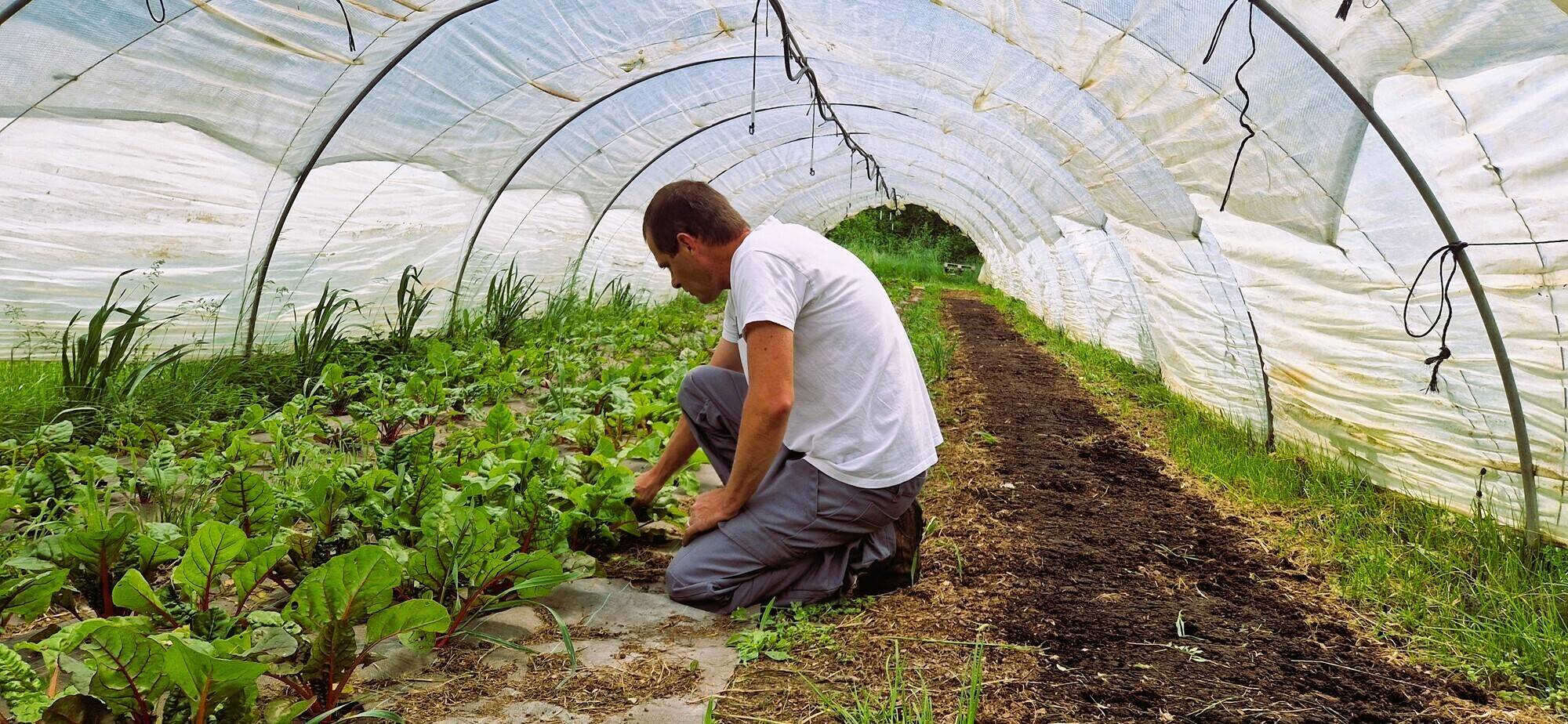 Ce Niçois a tout plaqué pour réaliser son rêve de gosse: monter sa ferme bio dans l'arrière-pays