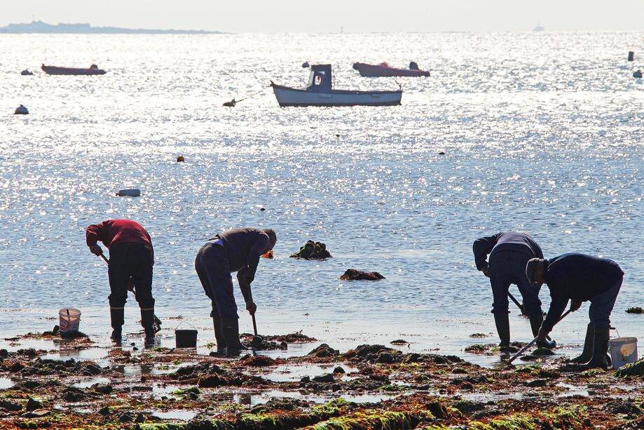 Plus chauds et acides: comment les océans affectent notre santé