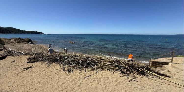 Après les inondations, les déchets dérivent dans le Golfe de Saint-Tropez