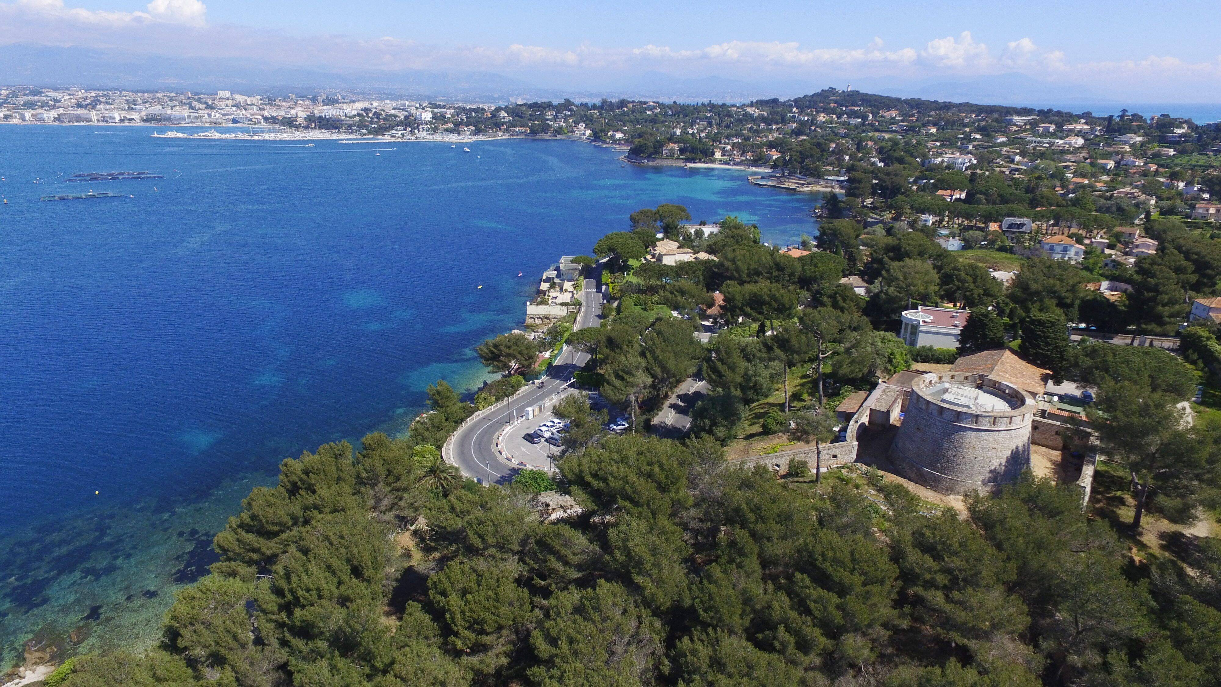 "Concilier l'activité humaine et la protection de l'environnement": A Antibes, comment la Ville se saisit du sujet des herbiers de Posidonie