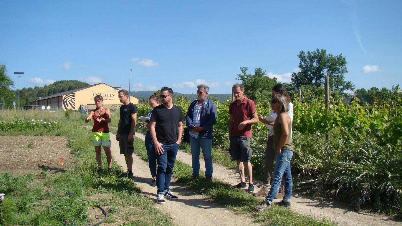 A Flayosc, d’un potager à l’autre, le partage des expériences