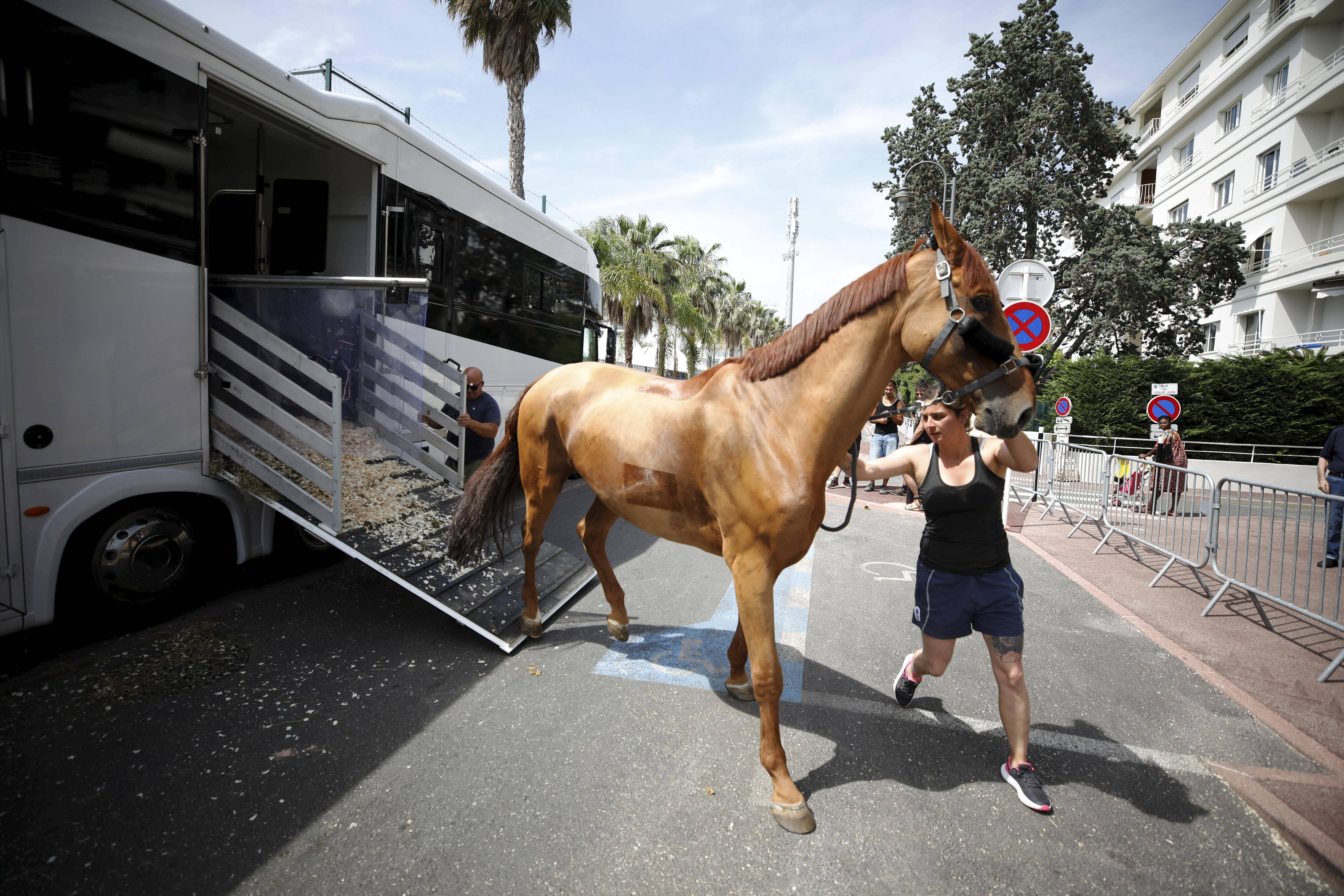 Avant l'ouverture du 42e Jumping de Cannes, retour sur deux semaines de préparatifs uniques au coeur de la cité