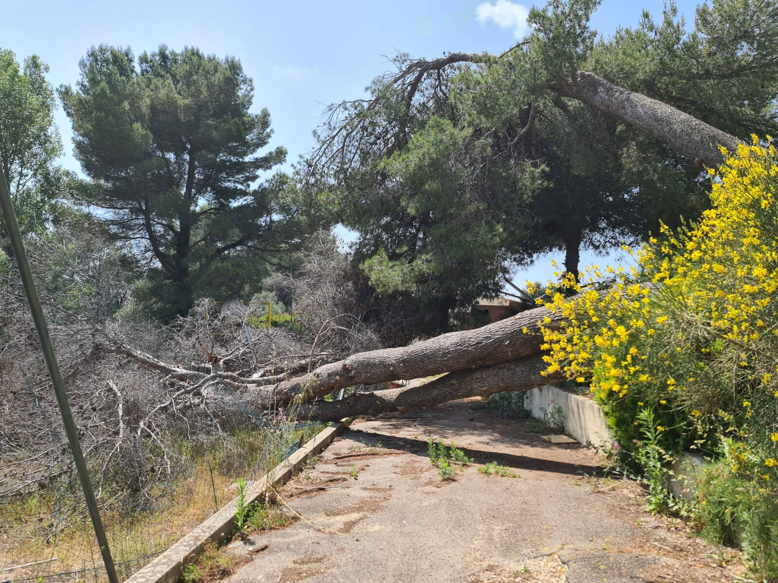 Le site a été pillé, démantelé, vandalisé: ce coin de paradis situé à La Gaude risque de s’embraser à tout moment, on vous explique l’imbroglio