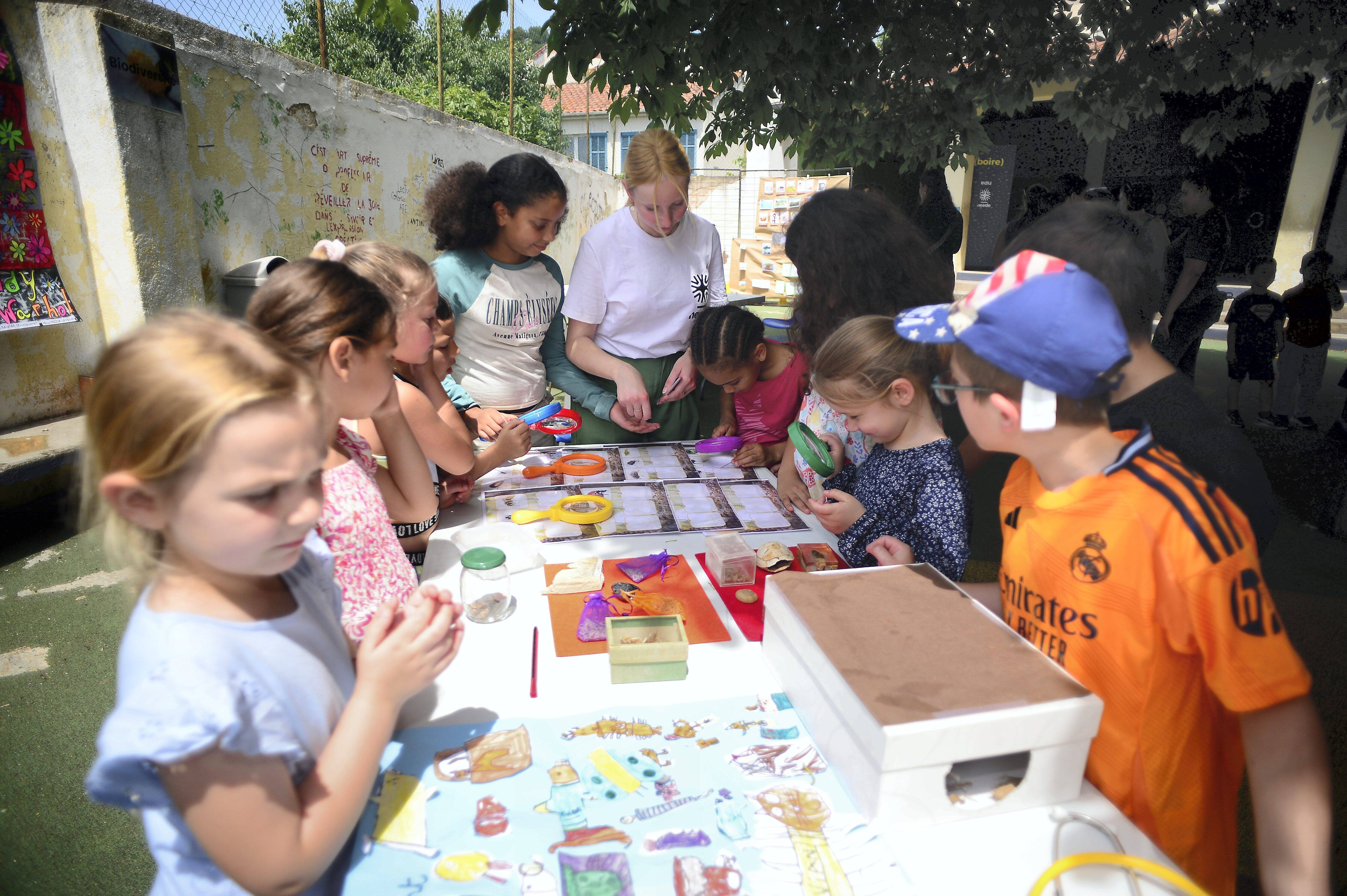 "Ils ont réfléchi à la manière d'améliorer les choses sur le territoire": quand les écoliers proposent des solutions écologiques