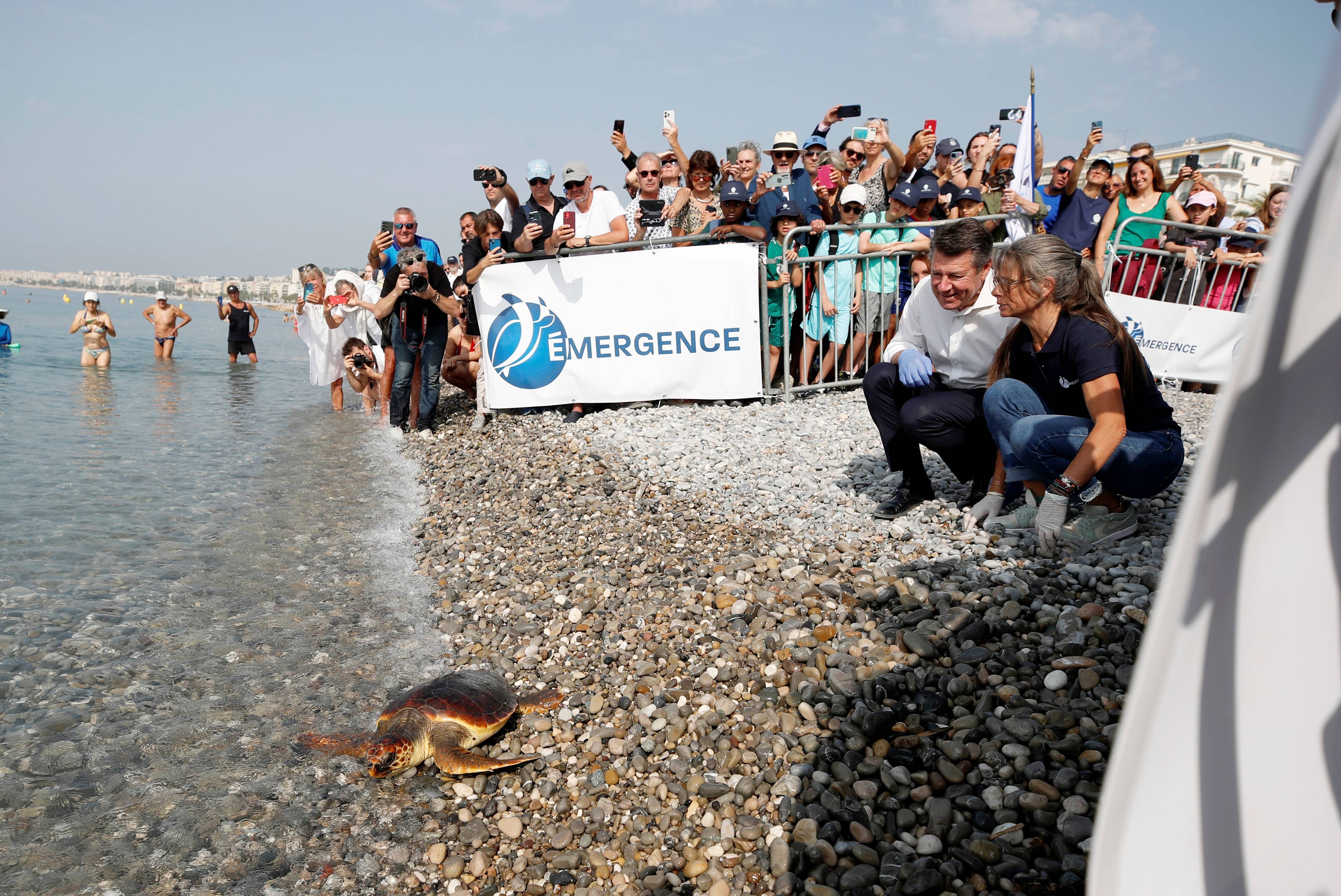 "Il faut vraiment qu'on partage cet espace de vie avec elles": deux tortues retrouvent la mer à Nice après des soins médicaux intenses