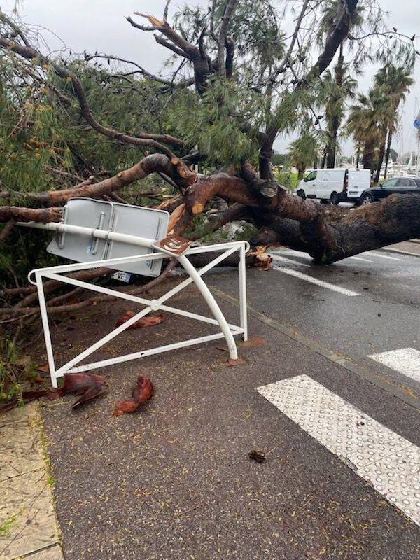 "Ce n'est pas un W.-C. public": le panneau de signalisation fendu par un arbre n'a pas été remplacé, ces restaurateurs d'Antibes n'en peuvent plus de l'afflux de touristes pressés