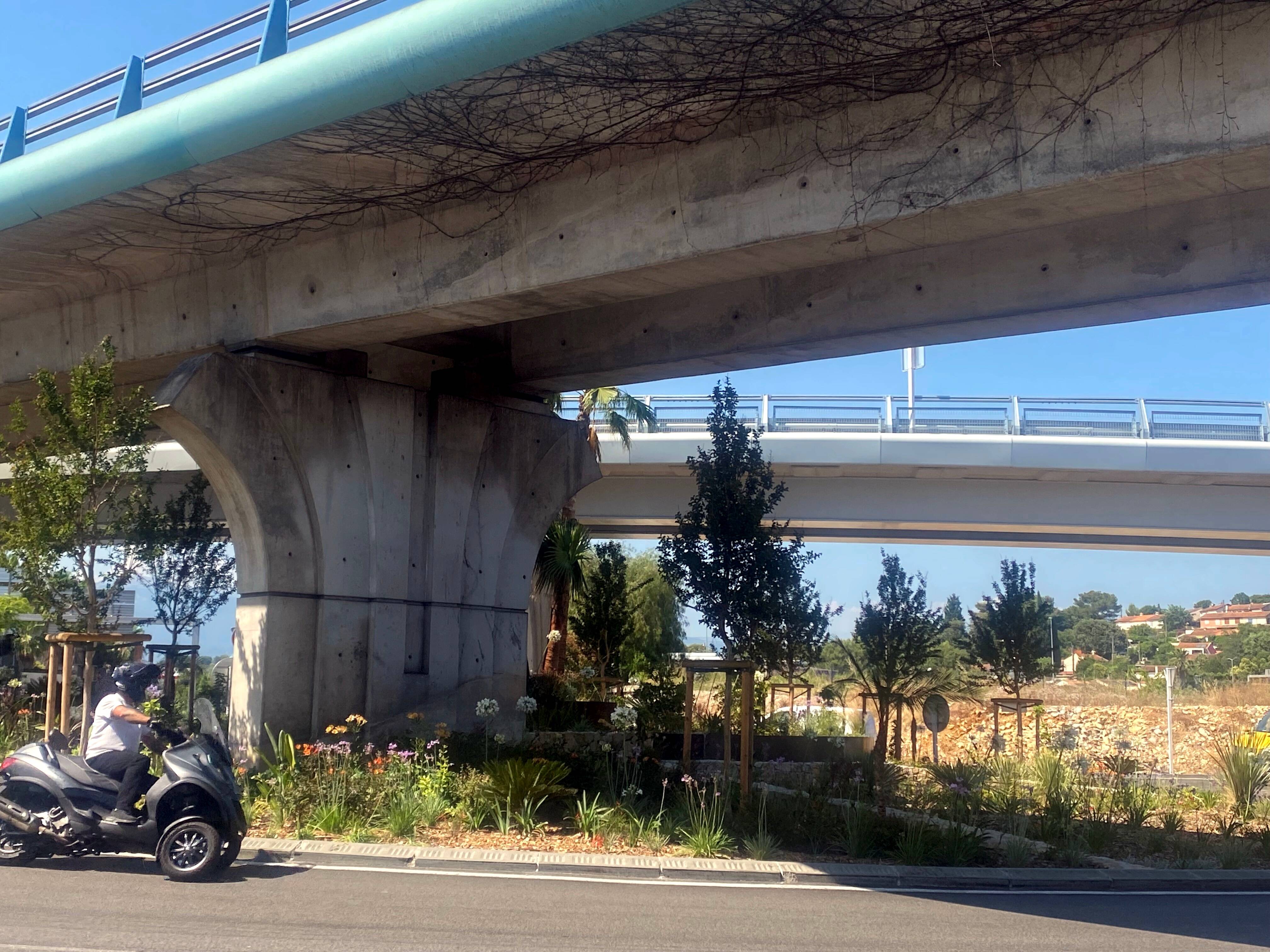 Mais pourquoi des arbres ont-ils été plantés sous l'autopont du nord d'Antibes? On vous explique