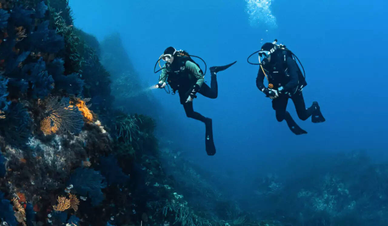 On connaît le nom du repreneur d'Aqualung, leader mondial de la plongée sous-marine basé à Sophia Antipolis