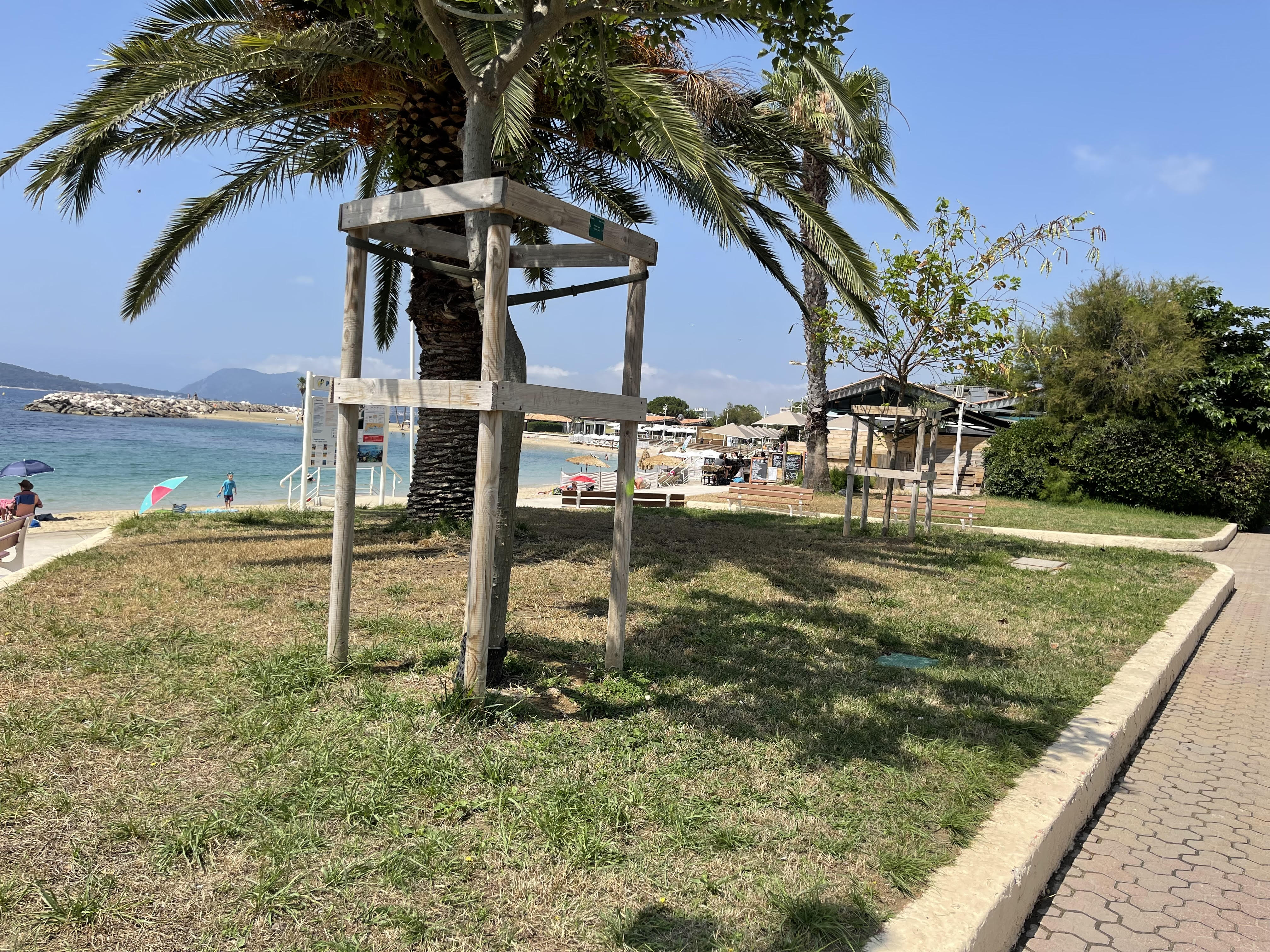 "Certaines familles n'ont pas de jardins": à Toulon, les nouvelles restrictions sur les plages du Mourillon divisent les habitants et les touristes