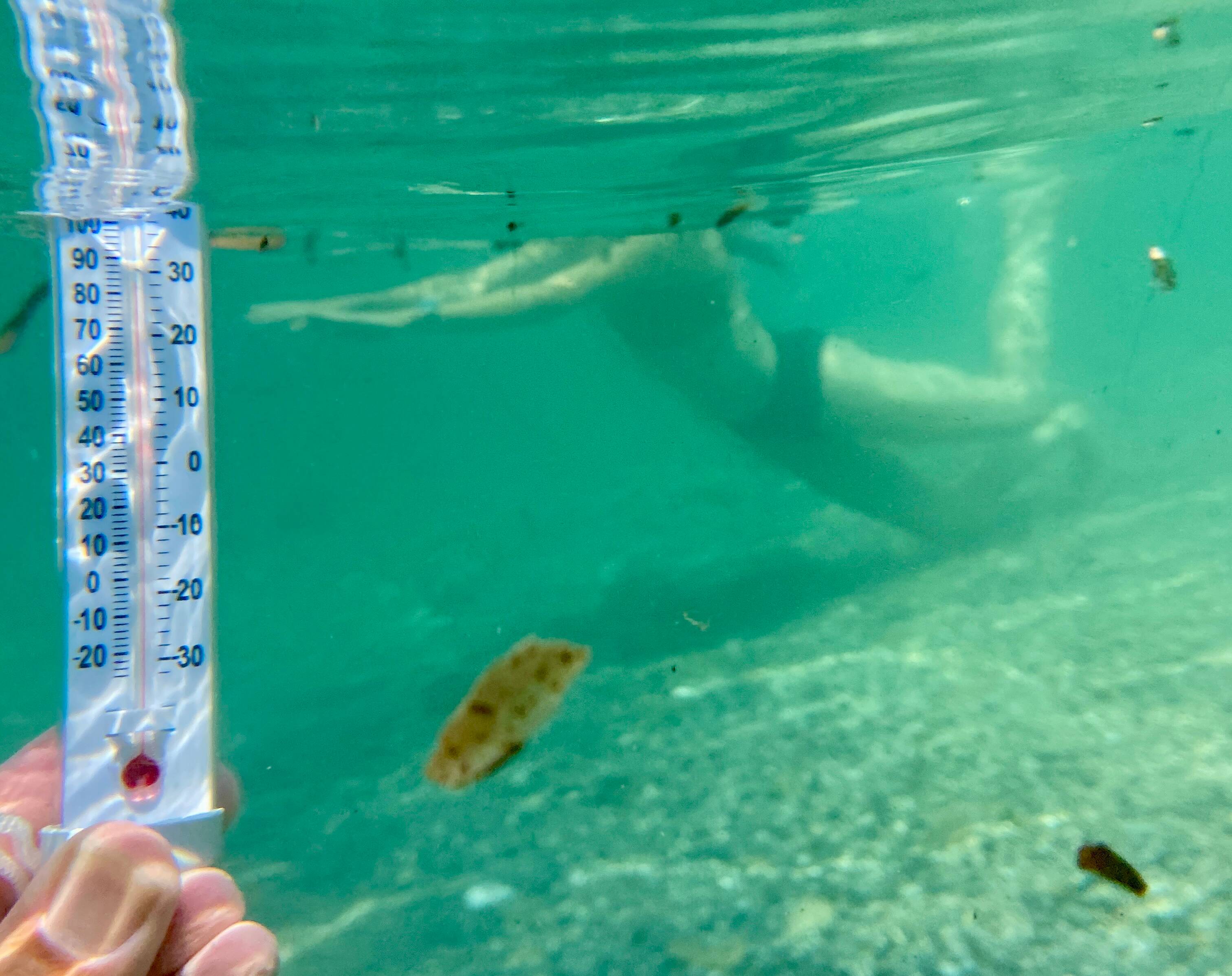 "C'est tout à fait exceptionnel": la Méditerranée enregistre des records de chaleur de plus en plus précoces