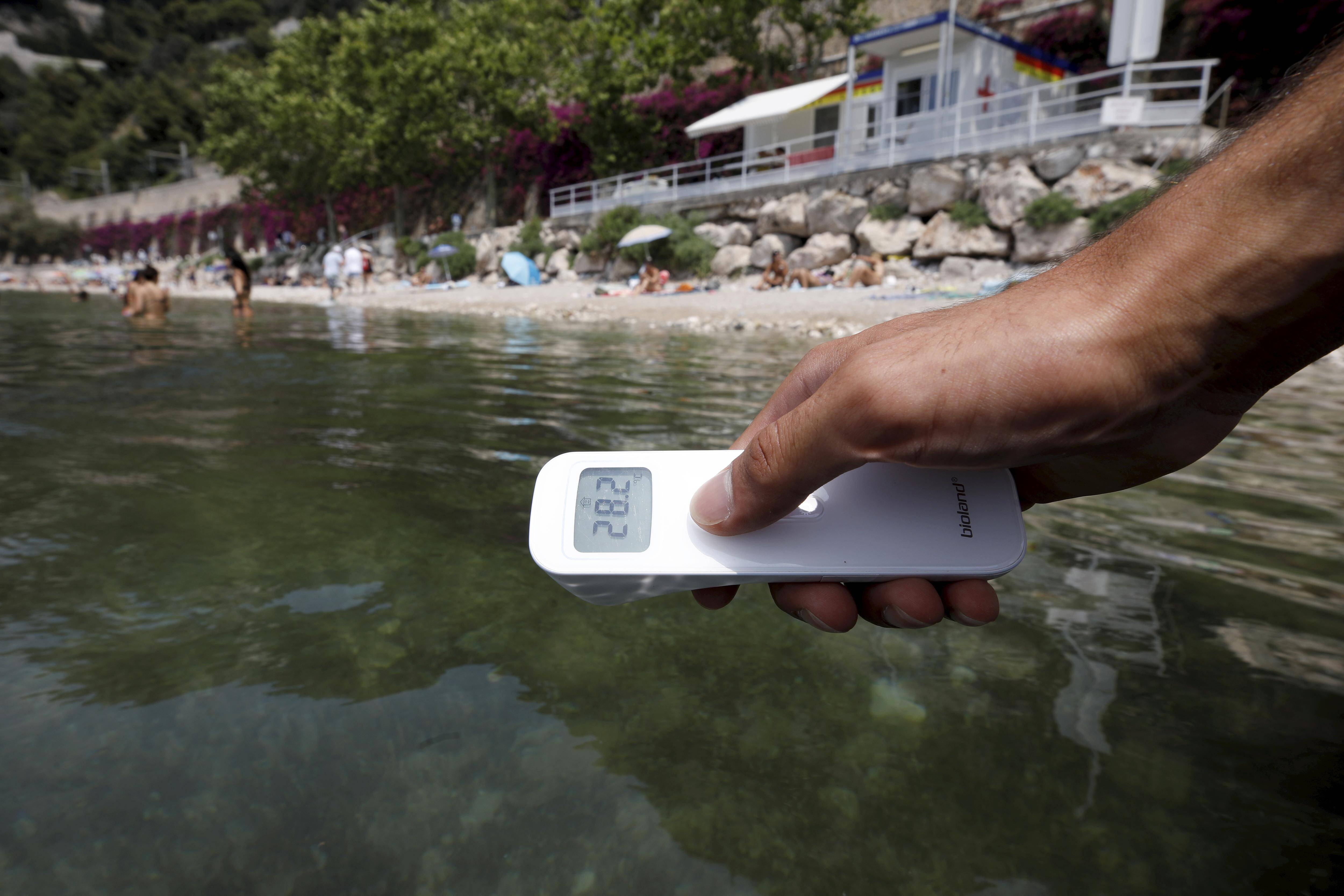 "Elle est quand même très chaude": la Méditerranée déjà en surchauffe au début de l'été sur les plages de la Côte d'Azur