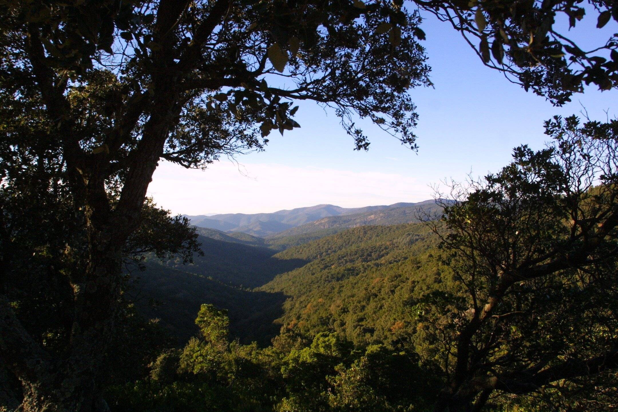Le risque de feux de forêt monte d'un cran dans le Var: six massifs fermés au public ce lundi