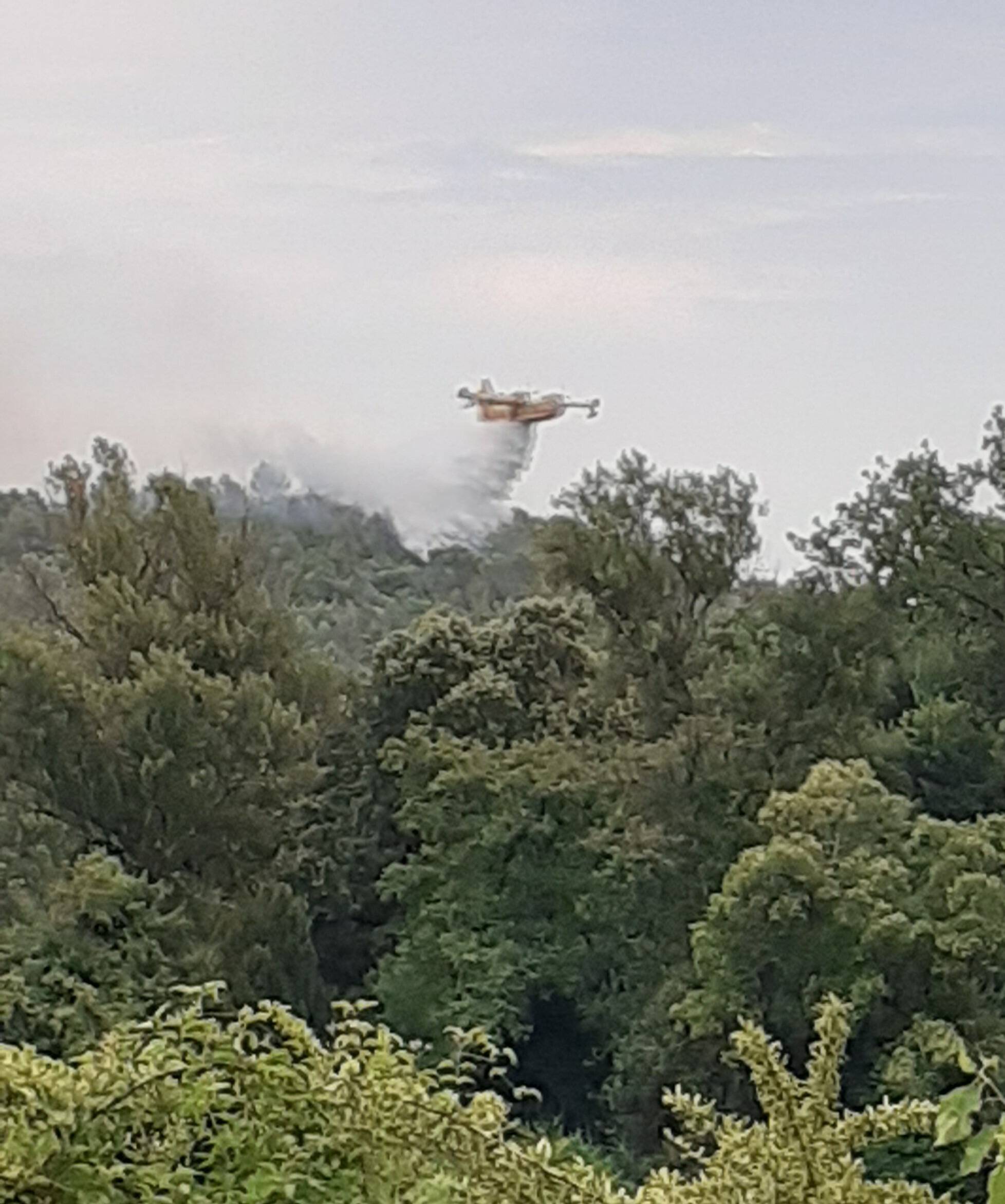 Ce que l'on sait sur l'incendie qui a ravagé près de 4 hectares de forêt à Brignoles et Vins, suite à un feu de véhicule sur l'A8