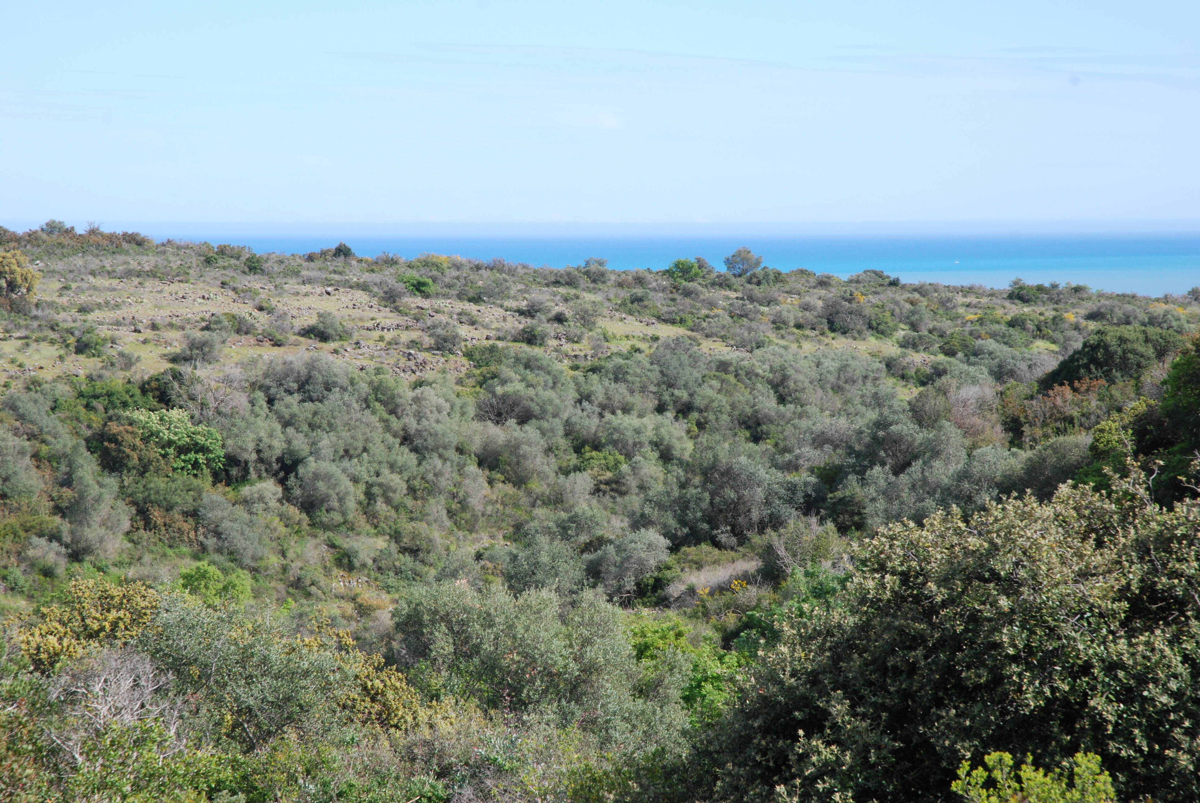 Nouvelle aire protégée Aspre de Redon et Terme Blanc: "Il y a autant d'espèces de flore à Villeneuve-Loubet que dans toute la Bretagne"