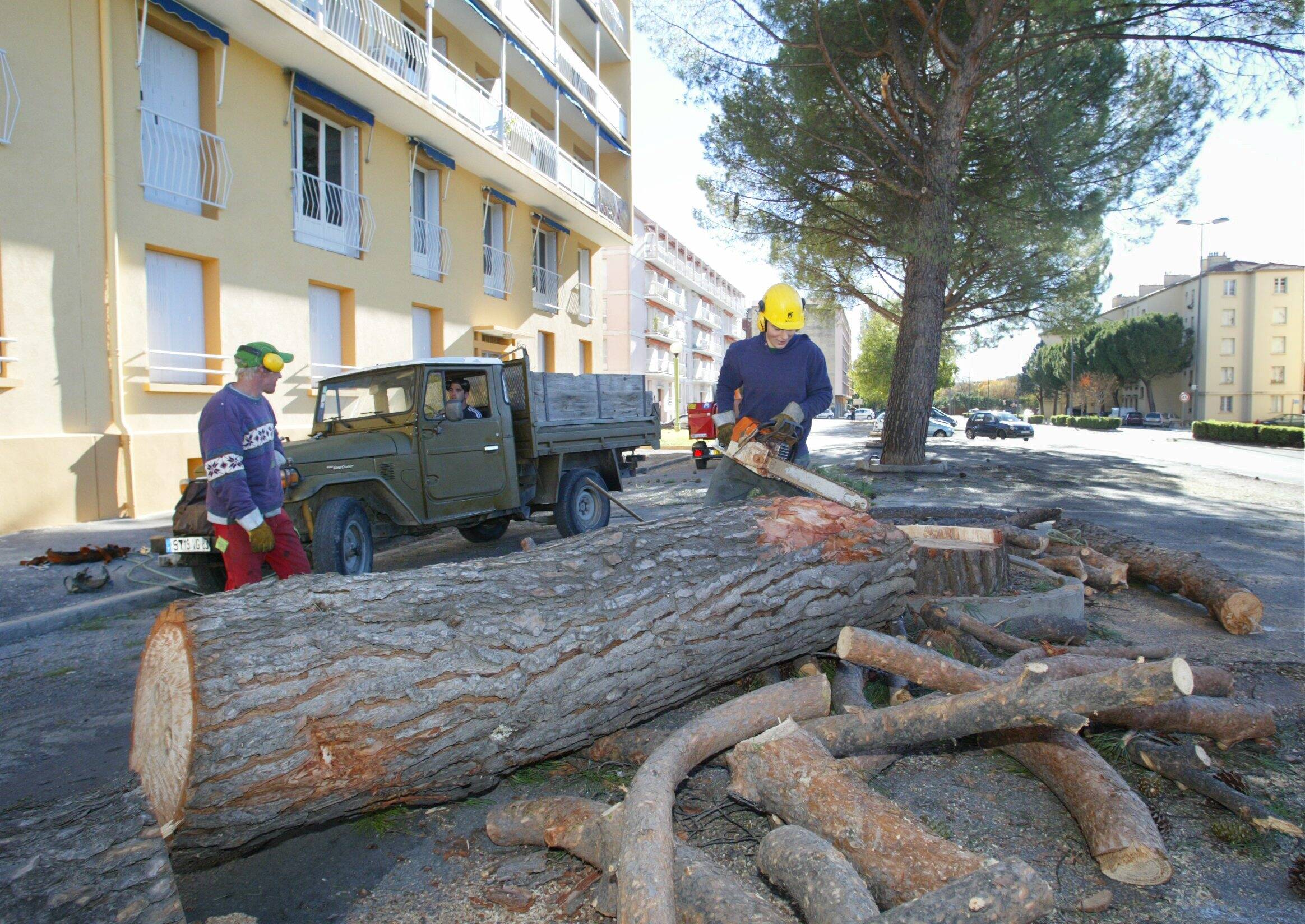 Une action "choquante et incompréhensible": tensions de voisinage après l'abattage d'un pin à La Mole
