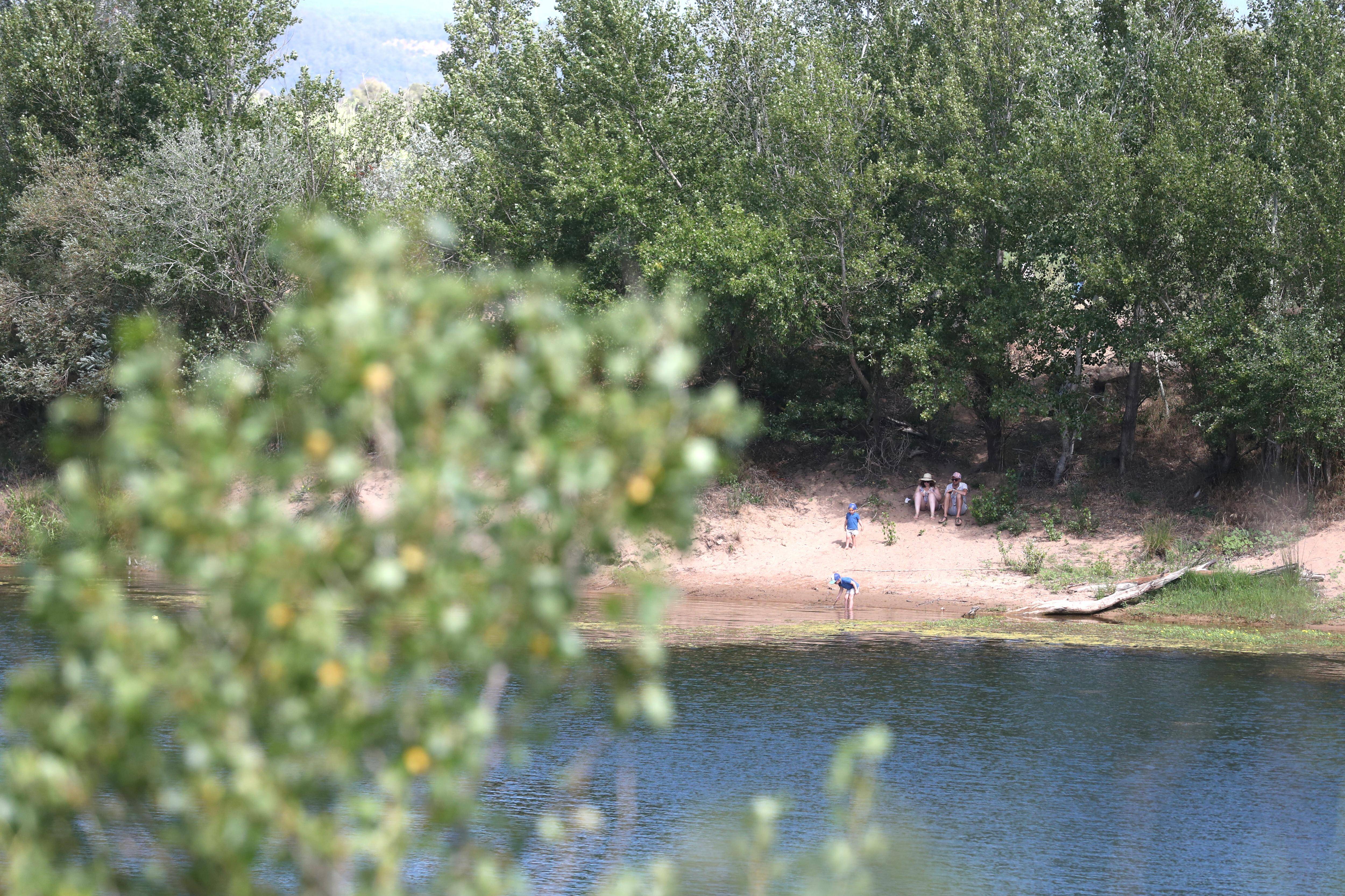 Pourquoi il est à nouveau possible de se baigner dans le lac de l'Arena, à Roquebrune-sur-Argens?