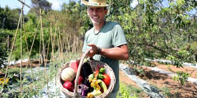 "Depuis que je fais ça, j'ai fait 2,5 millions d'euros de chiffre d'affaires en plus": A Antibes, ce restaurateur fait pousser ses légumes à côté de son établissement