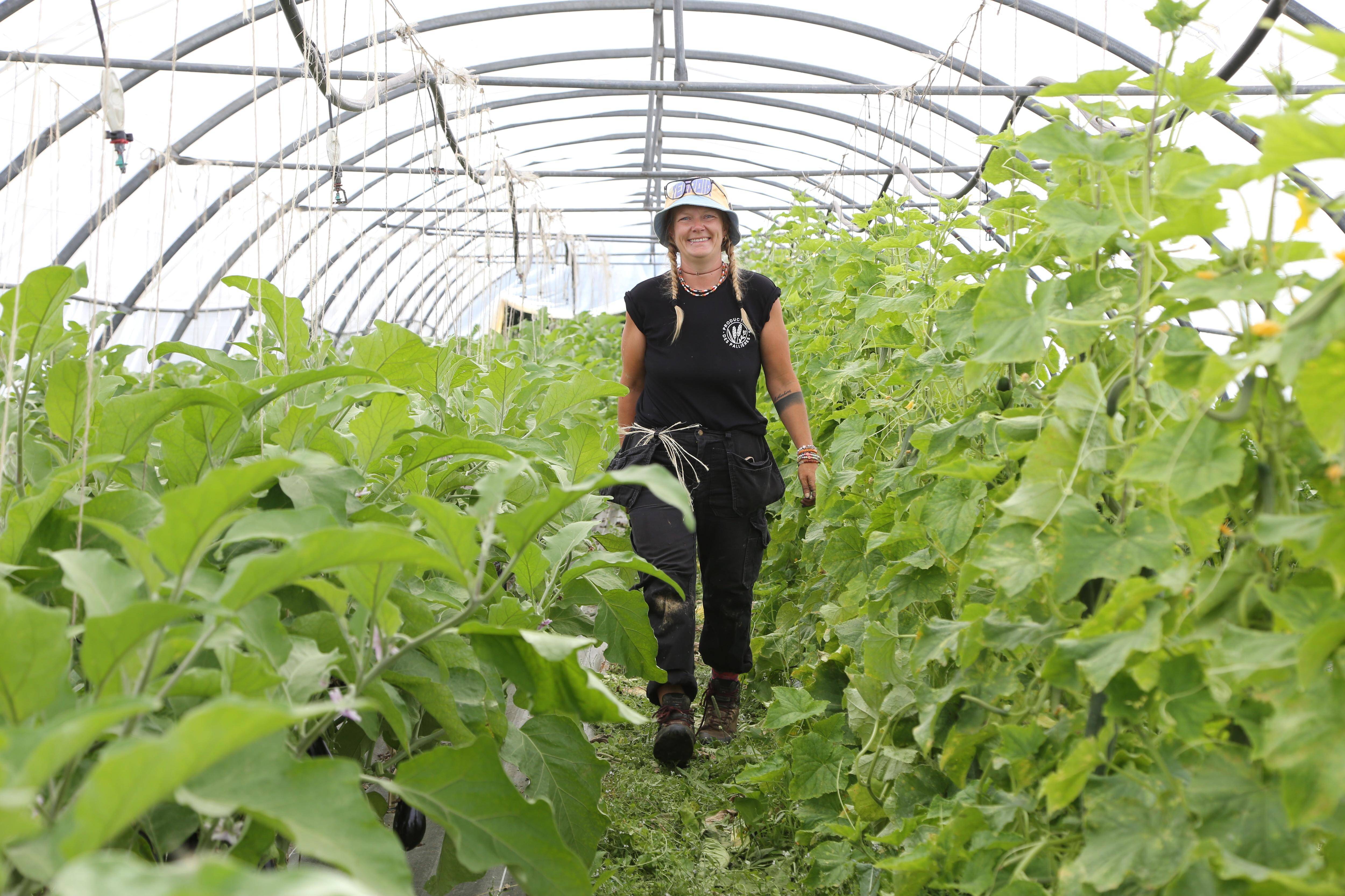 Pour consommer local, suivez le guide des producteurs installés sur tout le territoire Provence Verdon