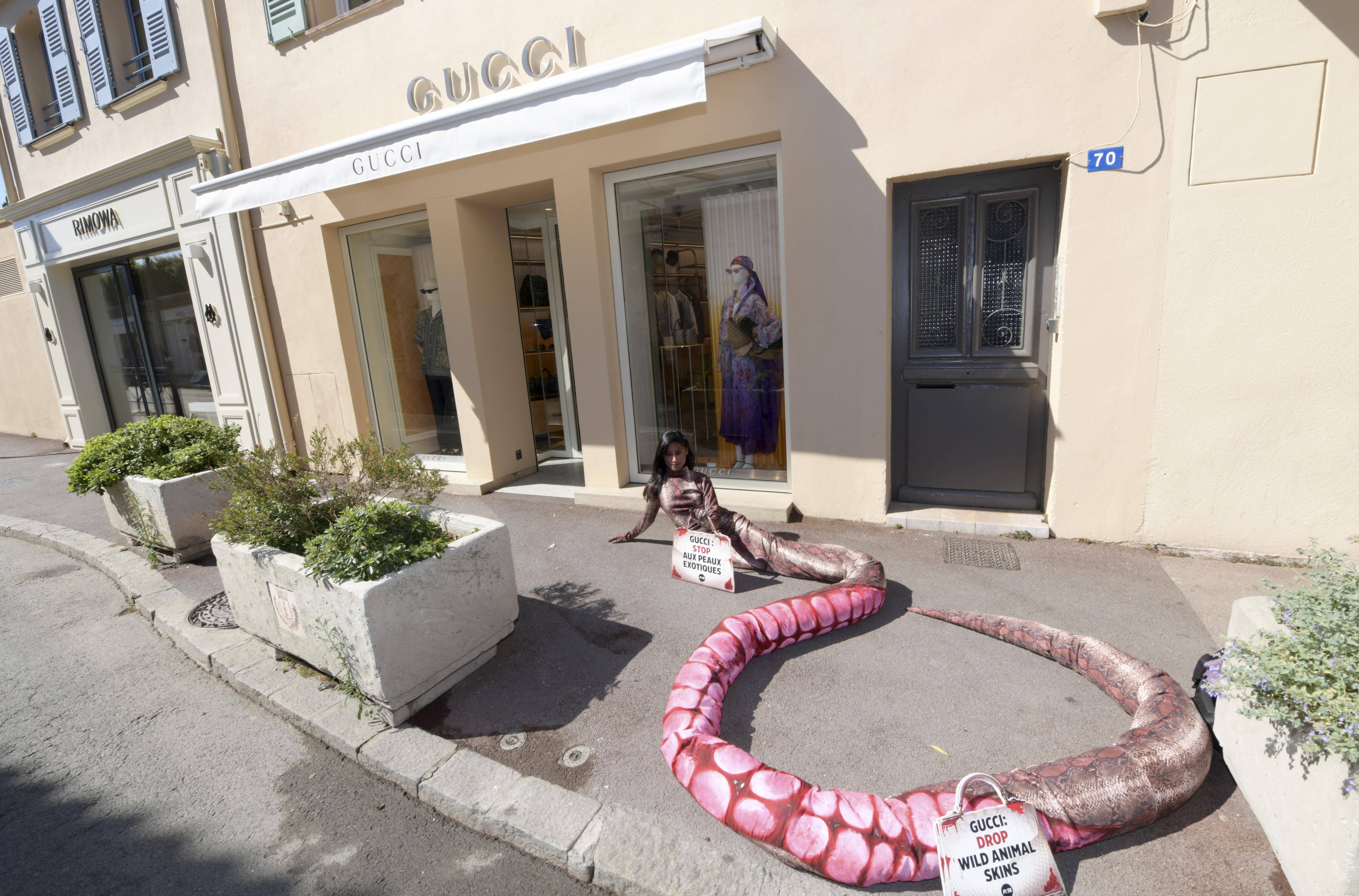 Pourquoi une boutique Gucci de Saint-Tropez a été la proie d'un serpent géant de 6 mètres