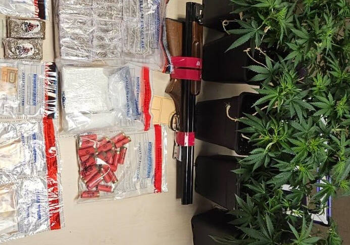 Plus de 4 kg de stups découverts après un contrôle routier à Toulon