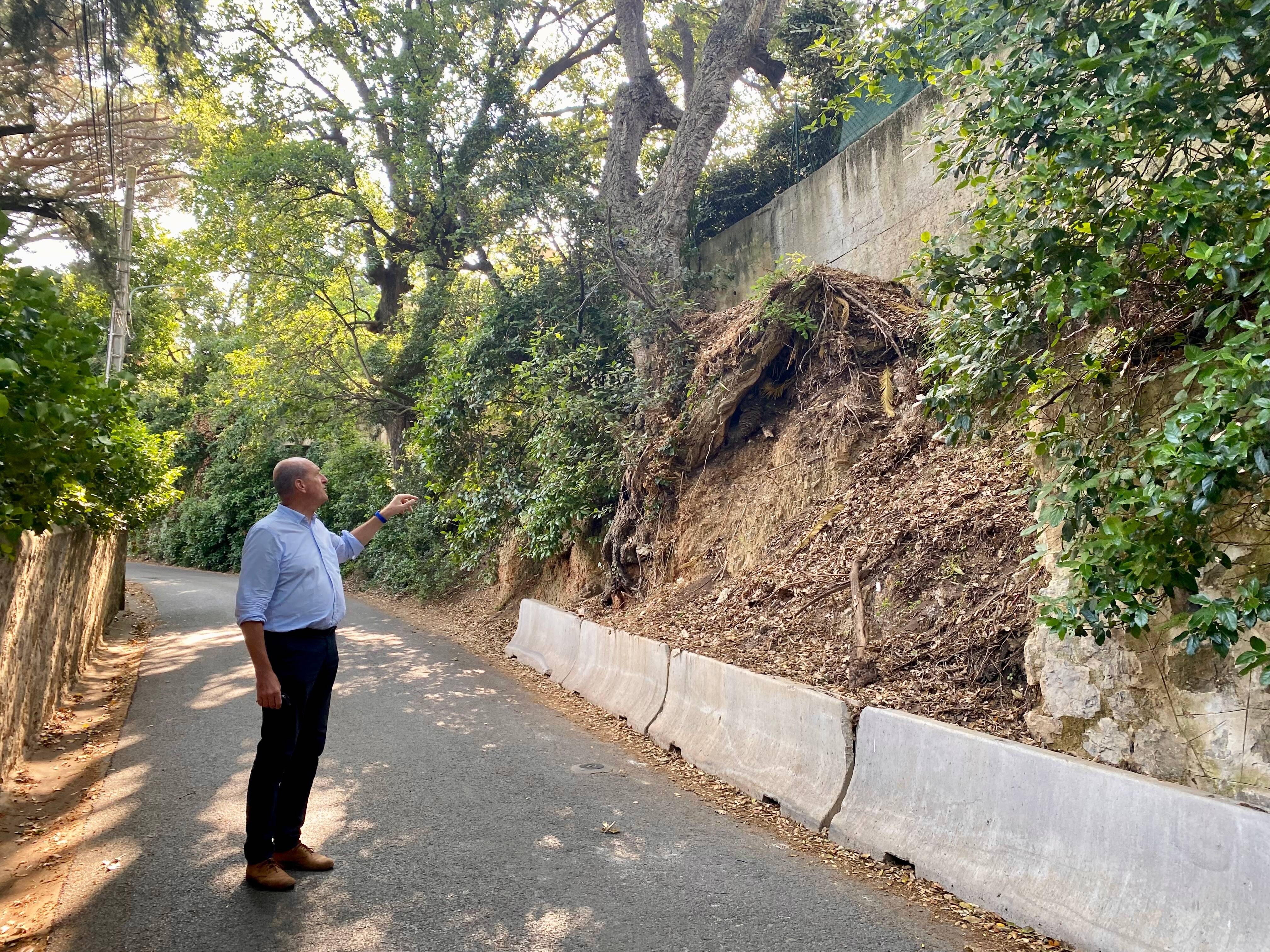 "Massacrer des arbres bicentenaires, c'est inacceptable": à Toulon, une bataille autour de deux arbres au Cap Brun