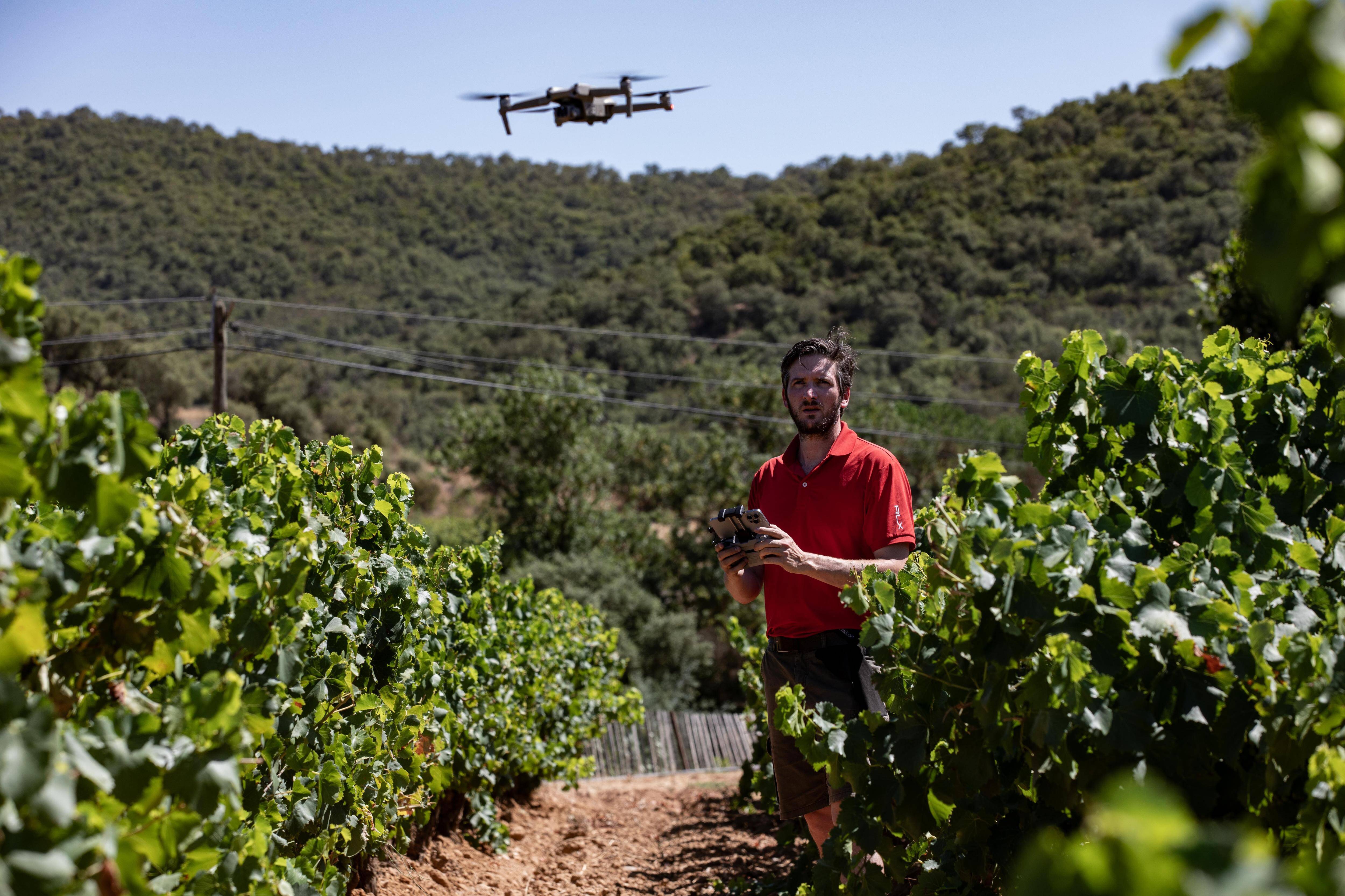 C'est une première mondiale! Quand Google Street View investit les vignes du Var