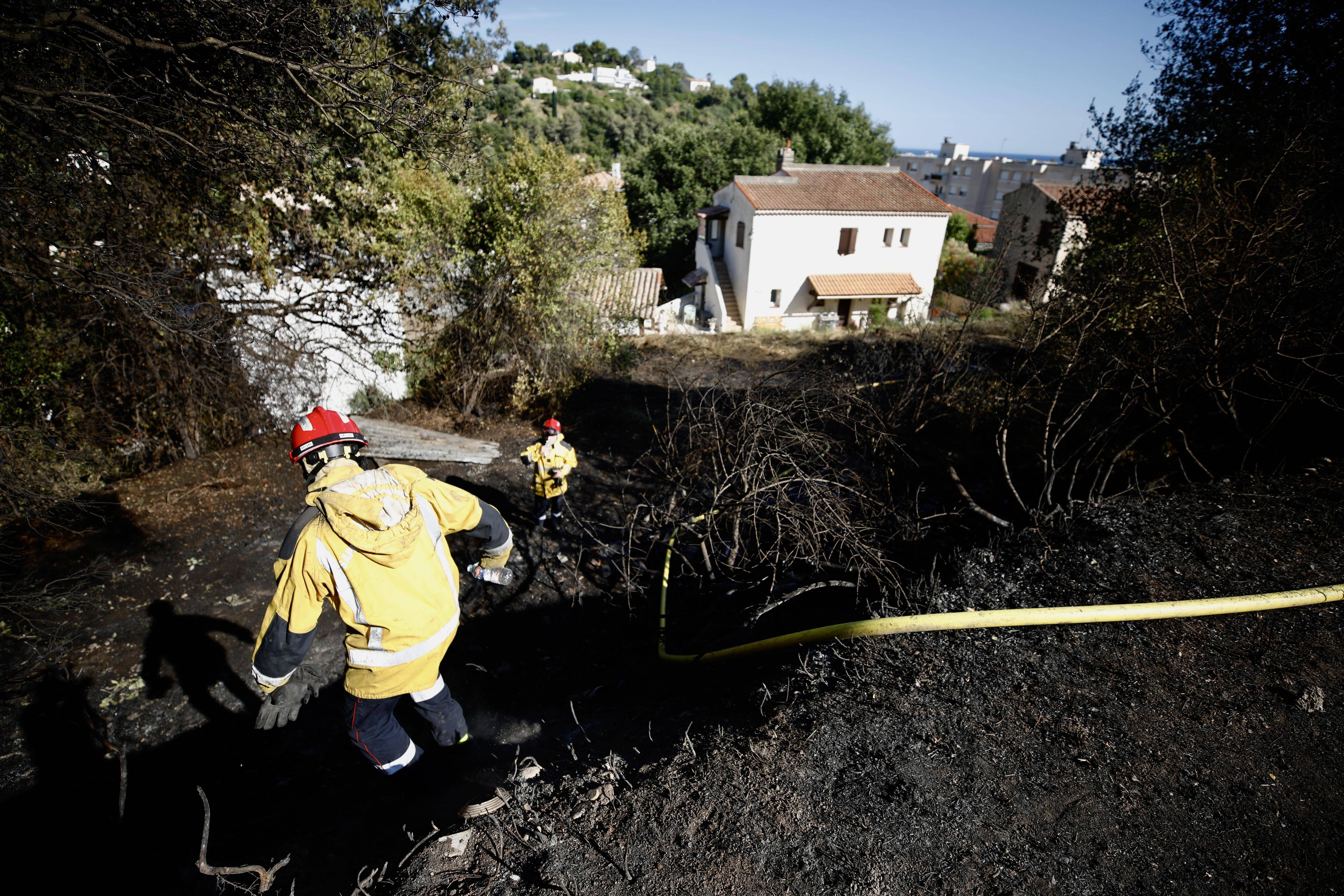 "C'est un feu criminel, c'est sûr": le feu de végétation a ravagé 1.500 mètres carrés à Cagnes-sur-Mer, trois hélicoptères mobilisés
