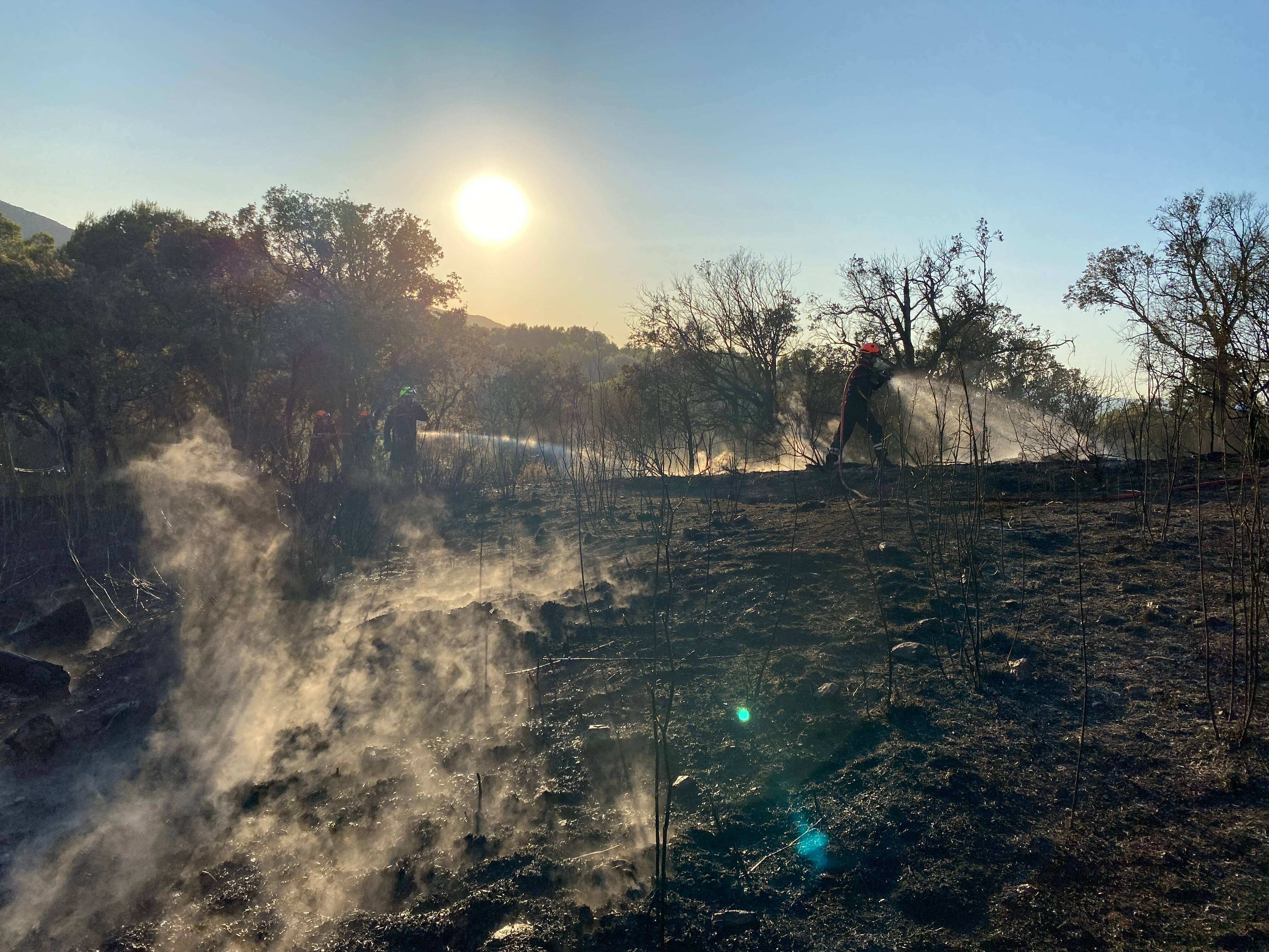 Deux hectares parcourus, reprise pendant la nuit, surveillance de la zone... Ce que l'on sait après l'incendie de l'A8 à Fréjus de nouveau fixé ce mardi matin