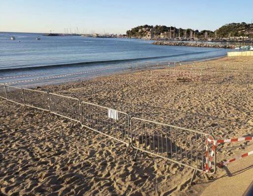 Une tortue caouanne choisit une plage du Var pour creuser son nid