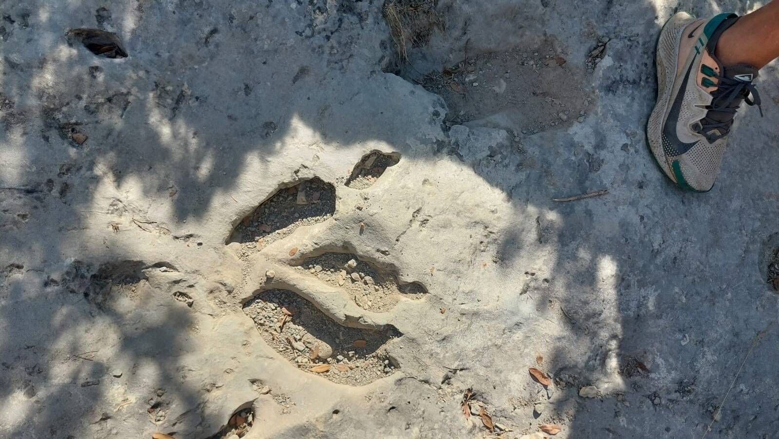 Des empreintes mystérieuses découvertes près de Nice: qui a marché là il y a un million d'années?