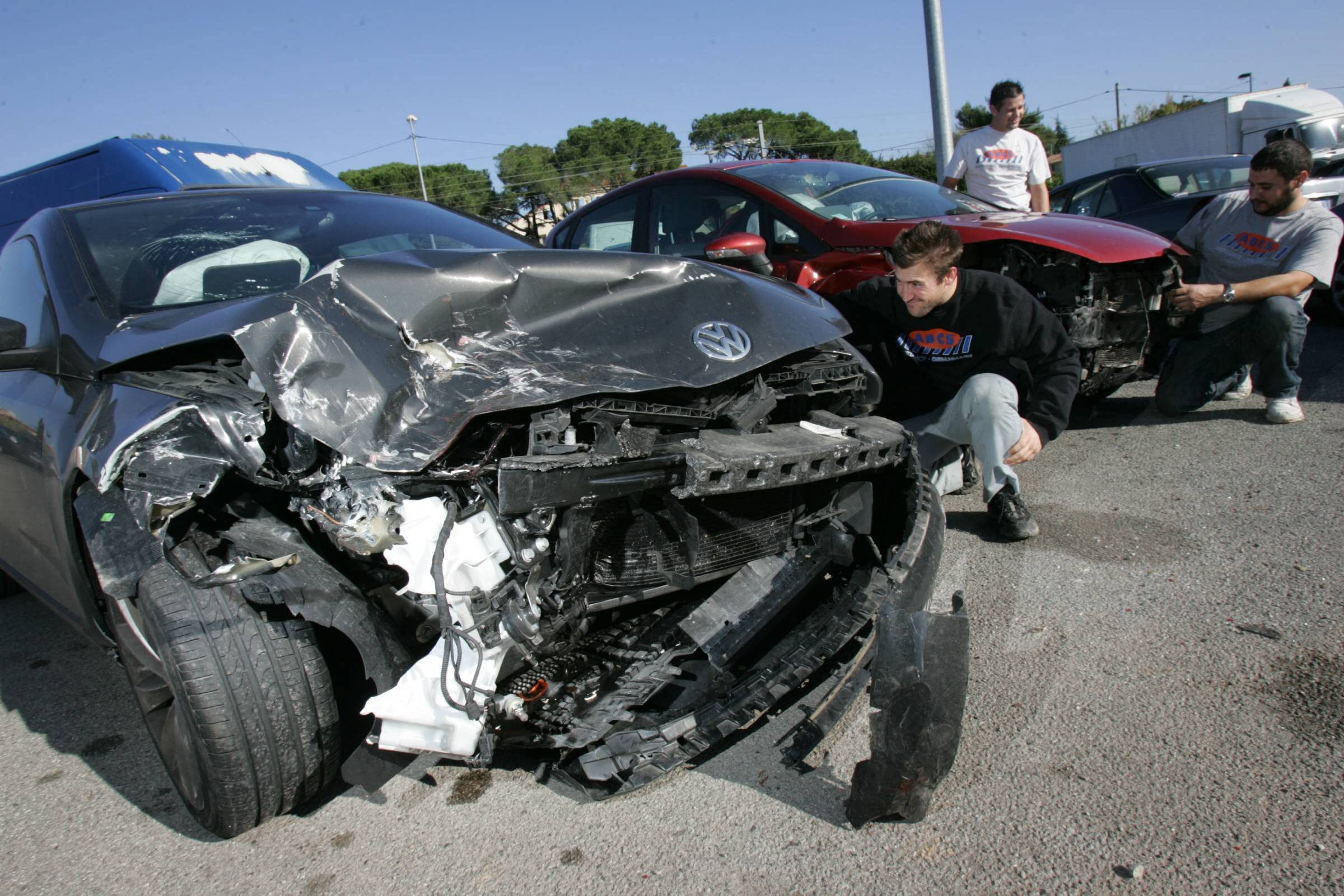 "Rouler en soirée revient à jouer à la roulette russe": les sangliers, un danger sur les routes du littoral varois