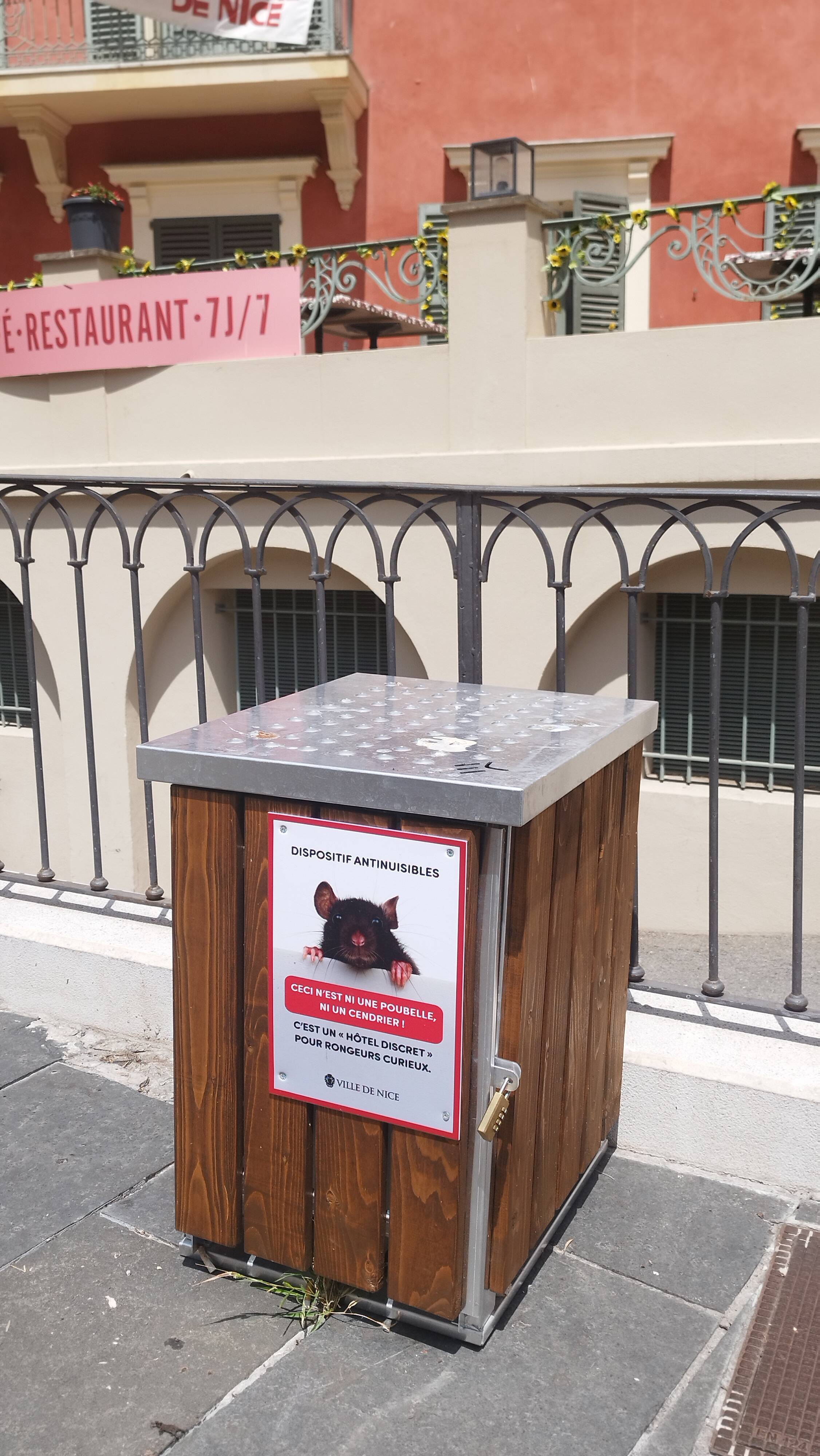 Déjà 1.463 captures: la ville de Nice teste un nouveau piège à contre les rats