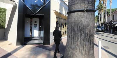 "Elle m'a regardé droit dans les yeux quand le feu a commencé à prendre sur elle": un témoin raconte l'accident dans la boîte de nuit You à Juan-les-Pins