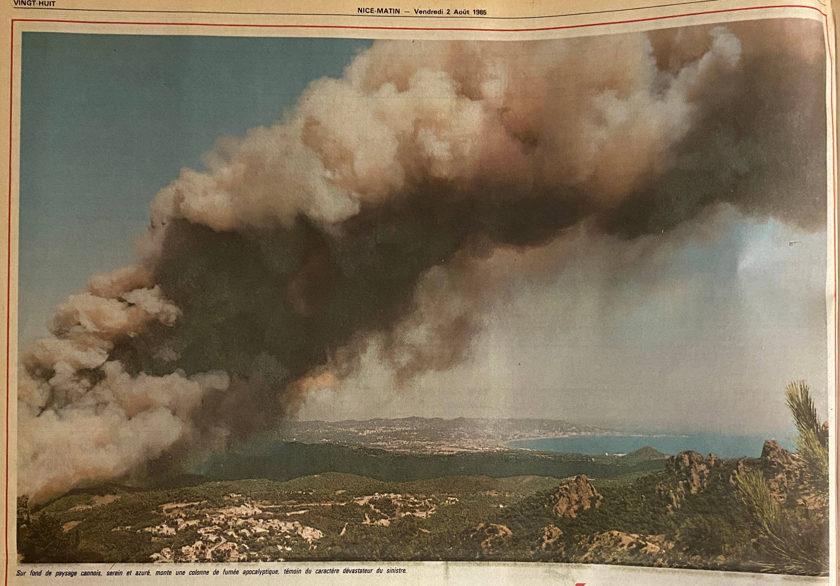 "On a couru tous les deux aussi vite que possible, avec le feu à nos trousses...": il y a 40 ans, un violent incendie embrasait Tanneron et le massif de l'Esterel