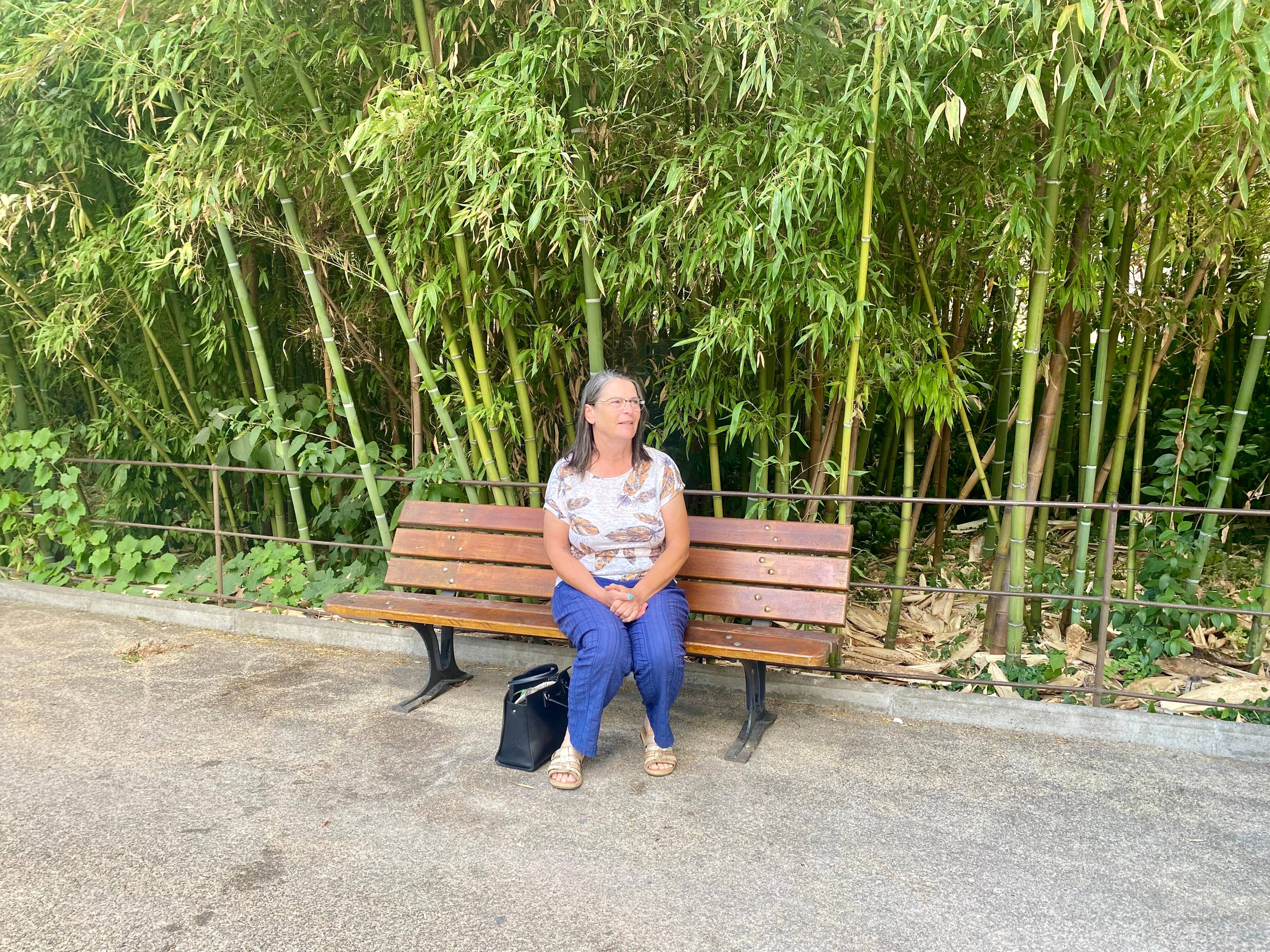 "L'espoir que ce drame n'ait pas été vain": son mari est mort dans le feu de Tanneron il y a 40 ans, Catherine Carcenac-Roger témoigne