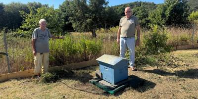 Une ruche installée dans des jardins familiaux à Bormes-les-Mimosas pour favoriser la pollinisation des cultures