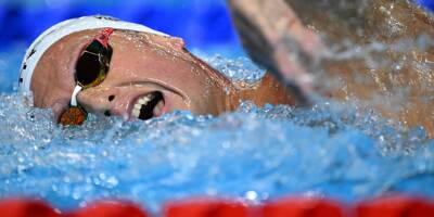 Le Toulonnais Damien Joly passe en finale du 1.500 m aux Mondiaux de natation