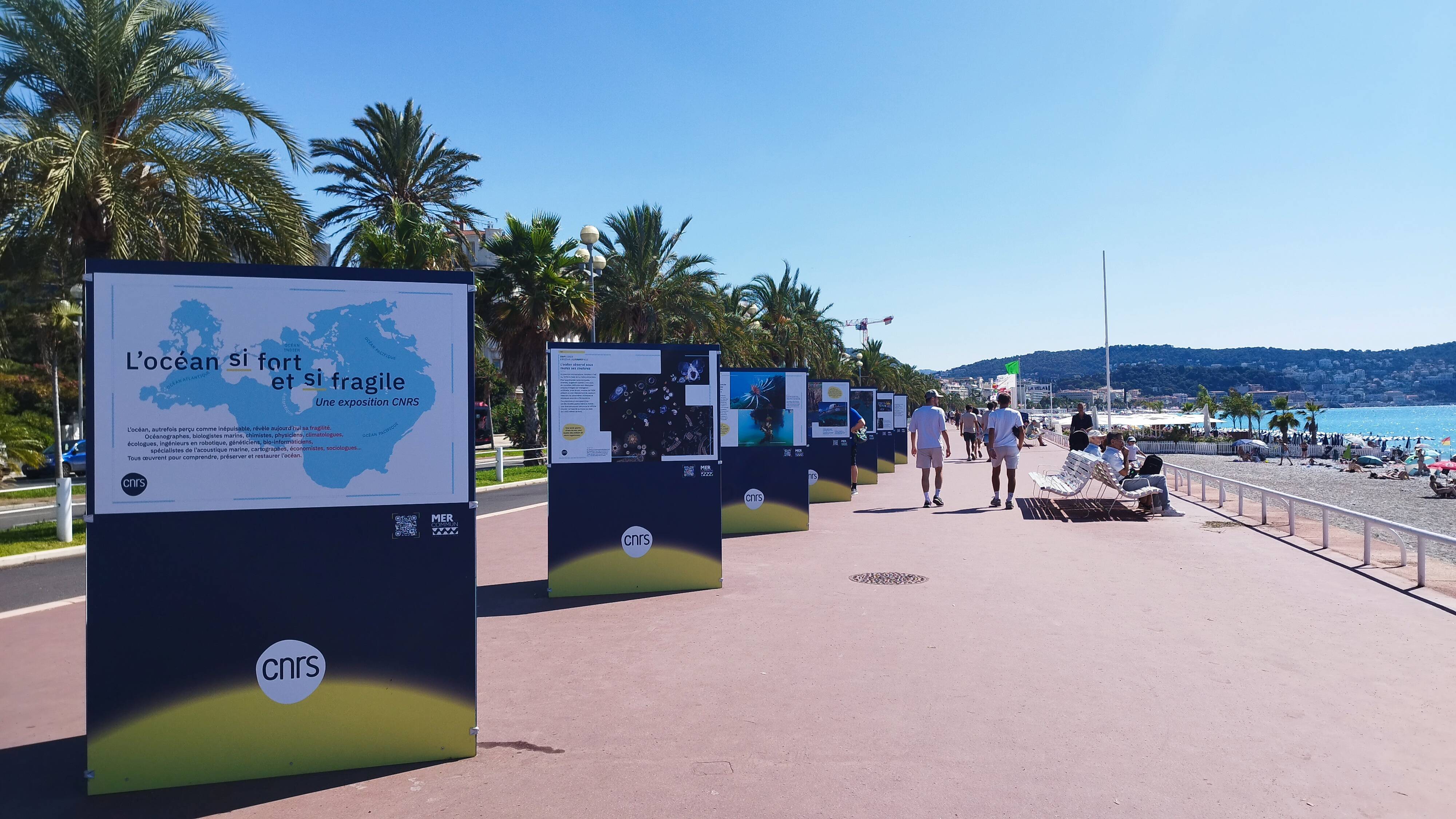 C'est quoi ces panneaux du CNRS installés à Nice sur la promenade des Anglais?