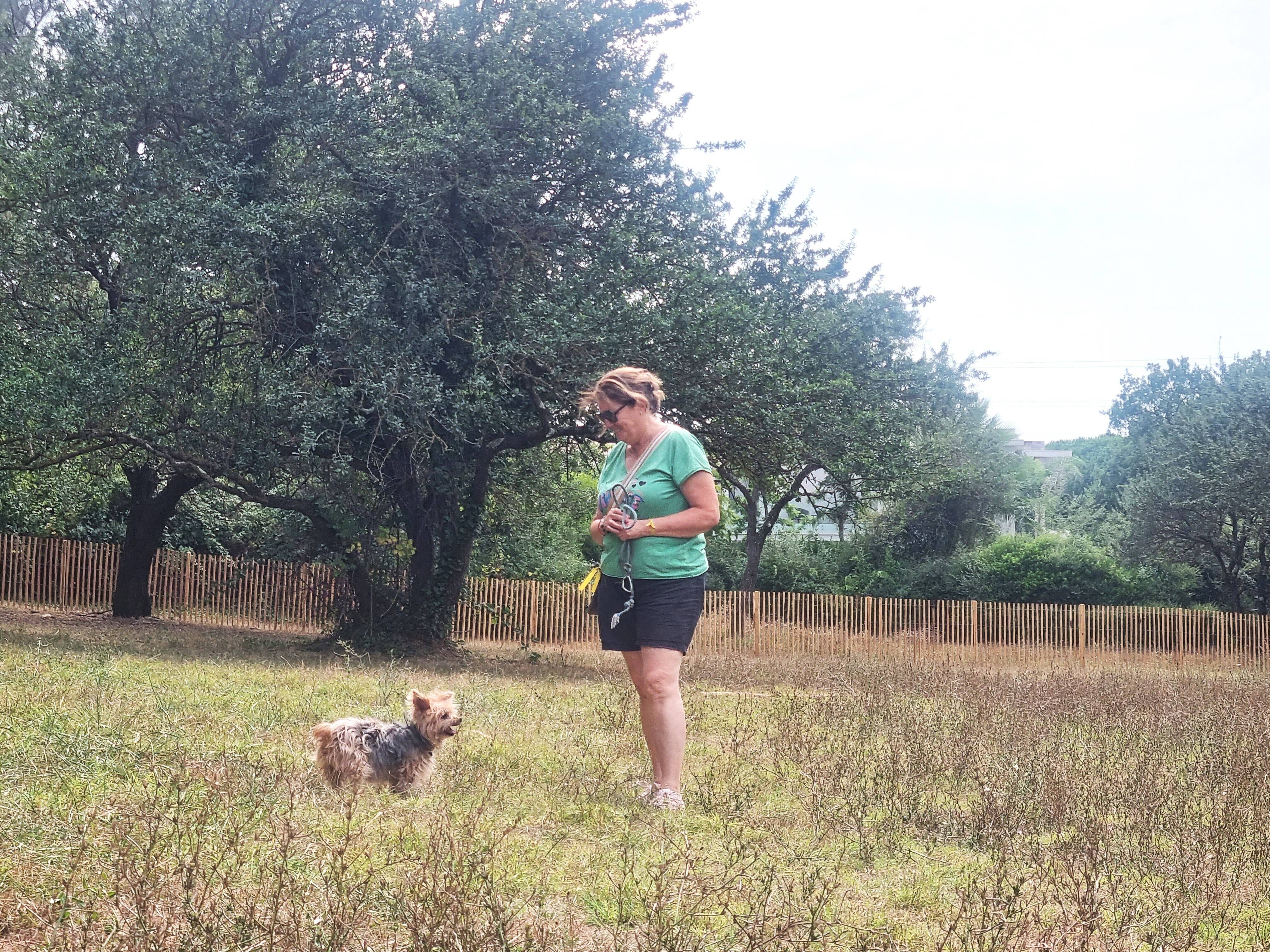 Un nouveau parc canin ouvre ses portes à l'étang Fontmerle de Mougins