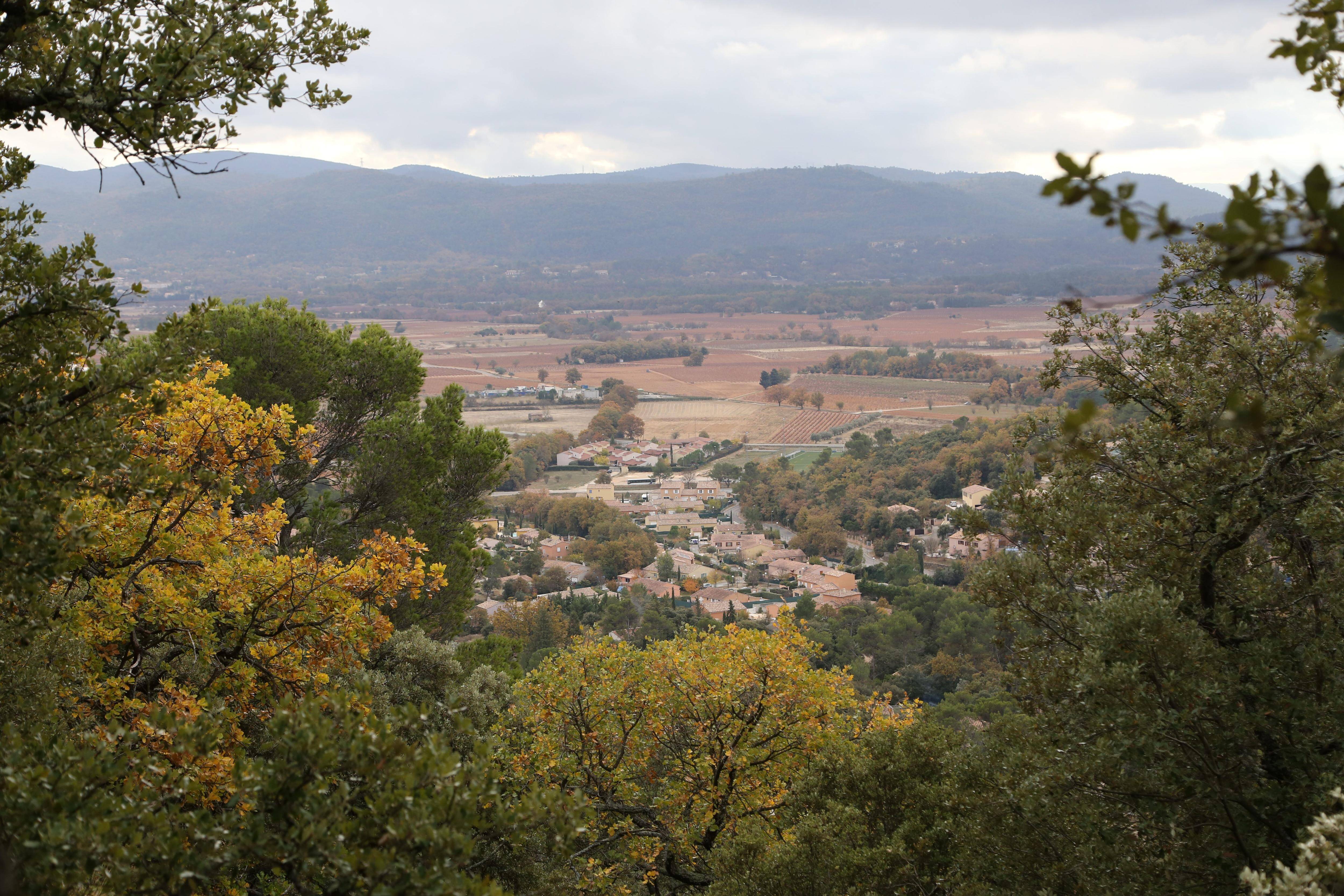 De plus en plus de communes varoises se tournent vers le dispositif des zones agricoles protégées