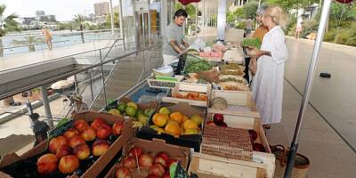 "Avec cet endroit, proche et de bonne qualité, on s'y retrouve": un mois après son ouverture, le mini marché du Larvotto séduit les résidents à Monaco