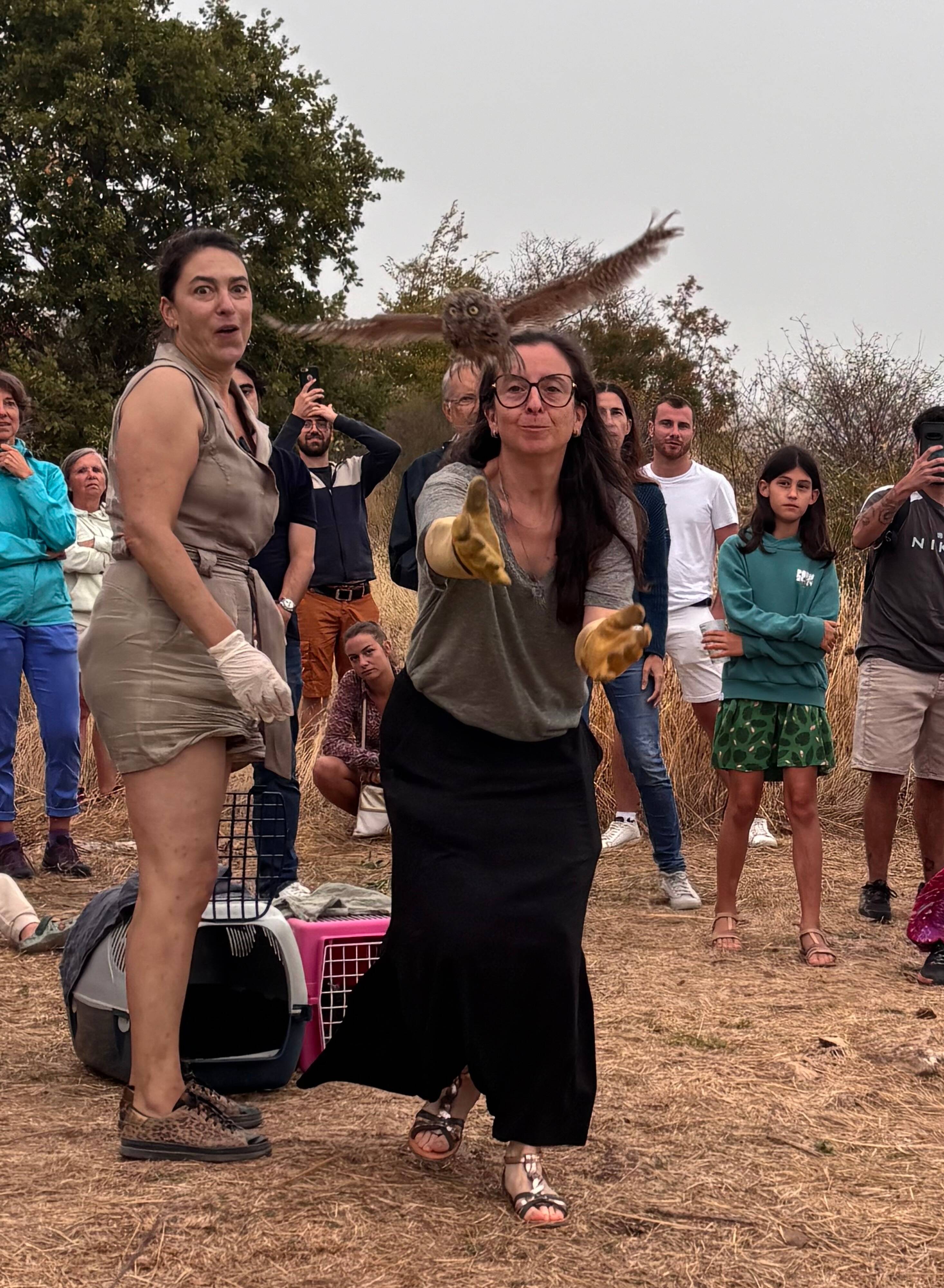 Douze hiboux petit-duc ont été relâchés au col de Vence