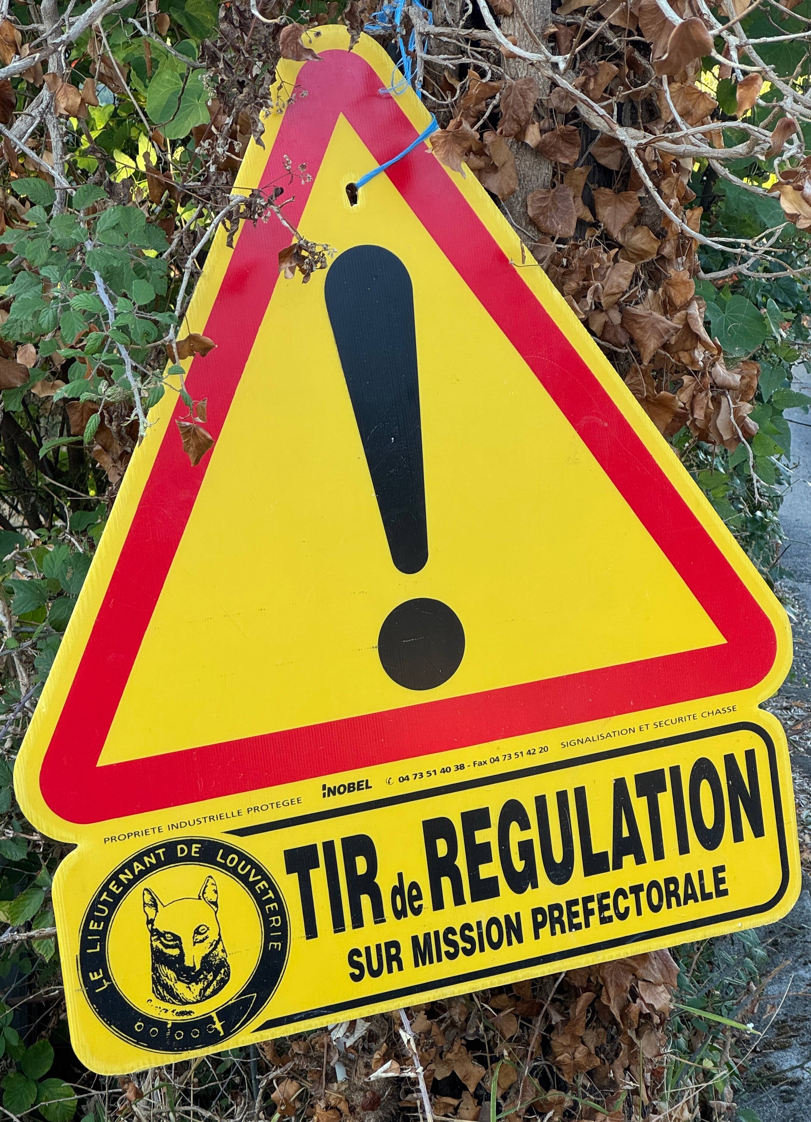 "Personne n'est à l'abri des manoeuvres accidentelles": après la photo choc, une pétition pour réguler les battues aux sangliers près de Nice