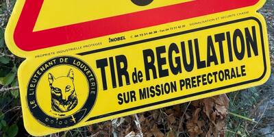 "Personne n'est à l'abri des manoeuvres accidentelles": après la photo choc, une pétition pour réguler les battues aux sangliers près de Nice