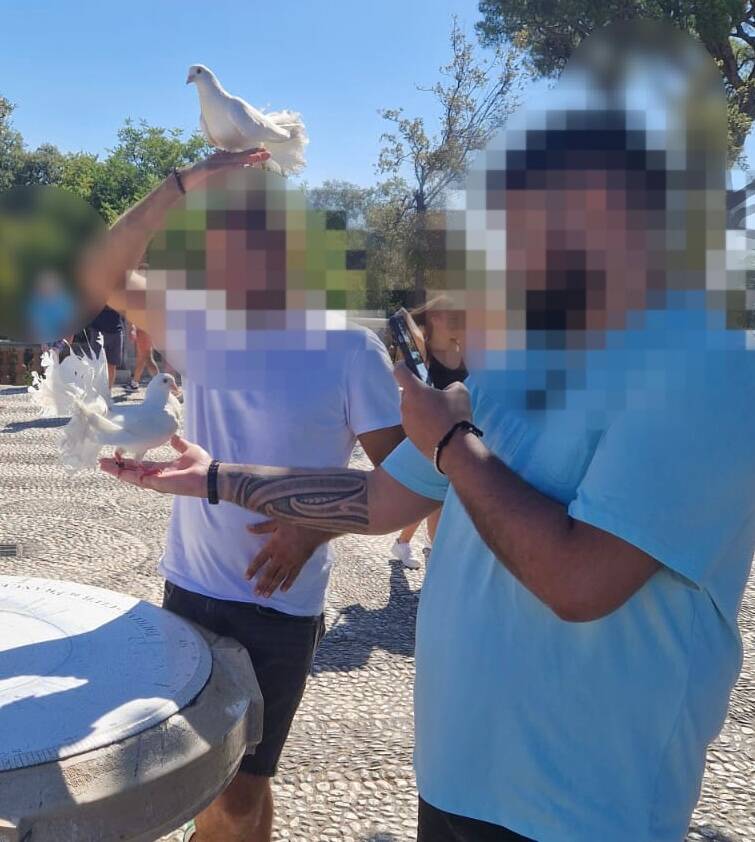 Arnaque aux touristes et trafic d'oiseaux sur la colline du château de Nice: un homme interpellé