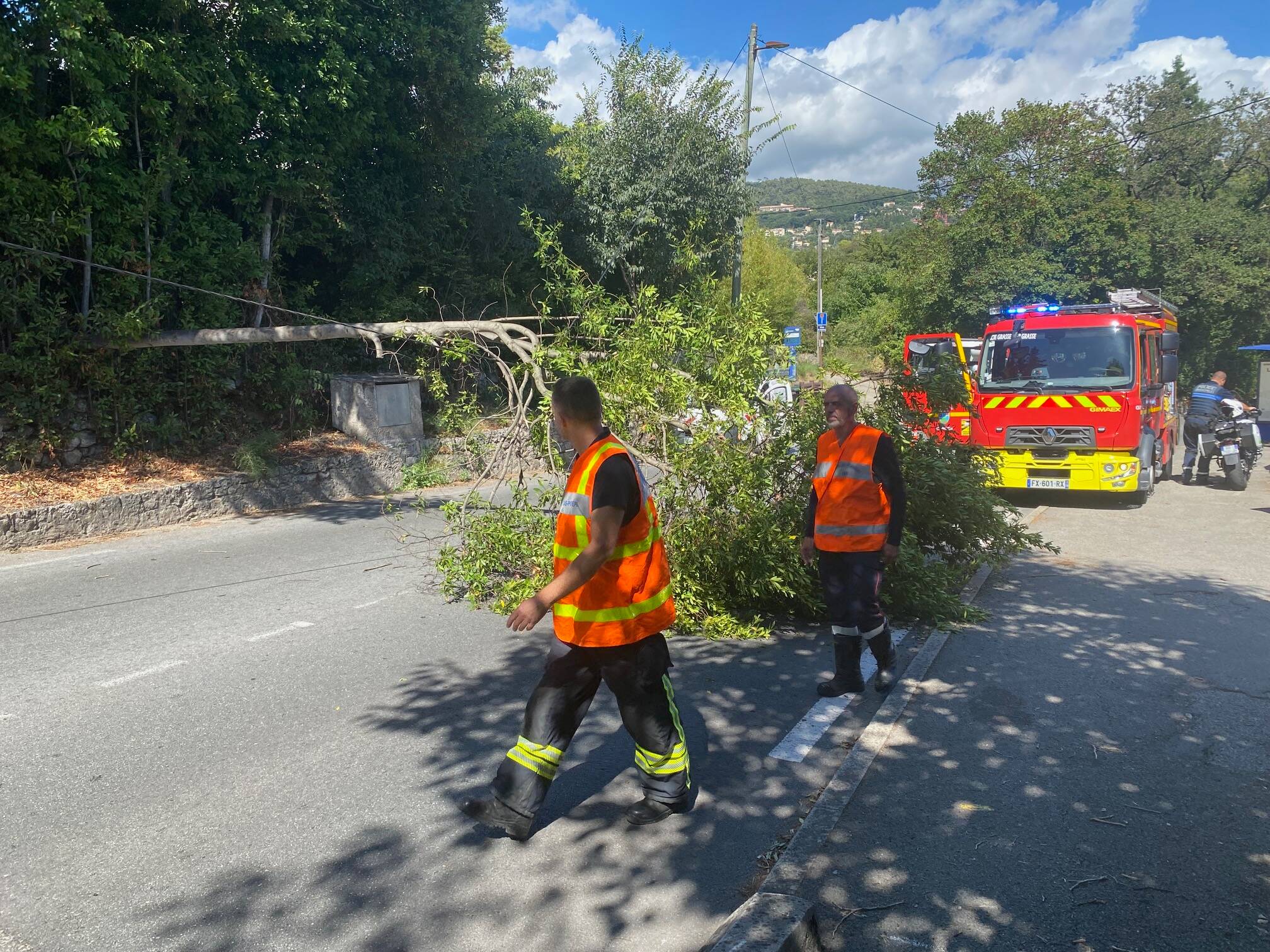 Un arbre se couche sur la route et perturbe la circulation à Grasse