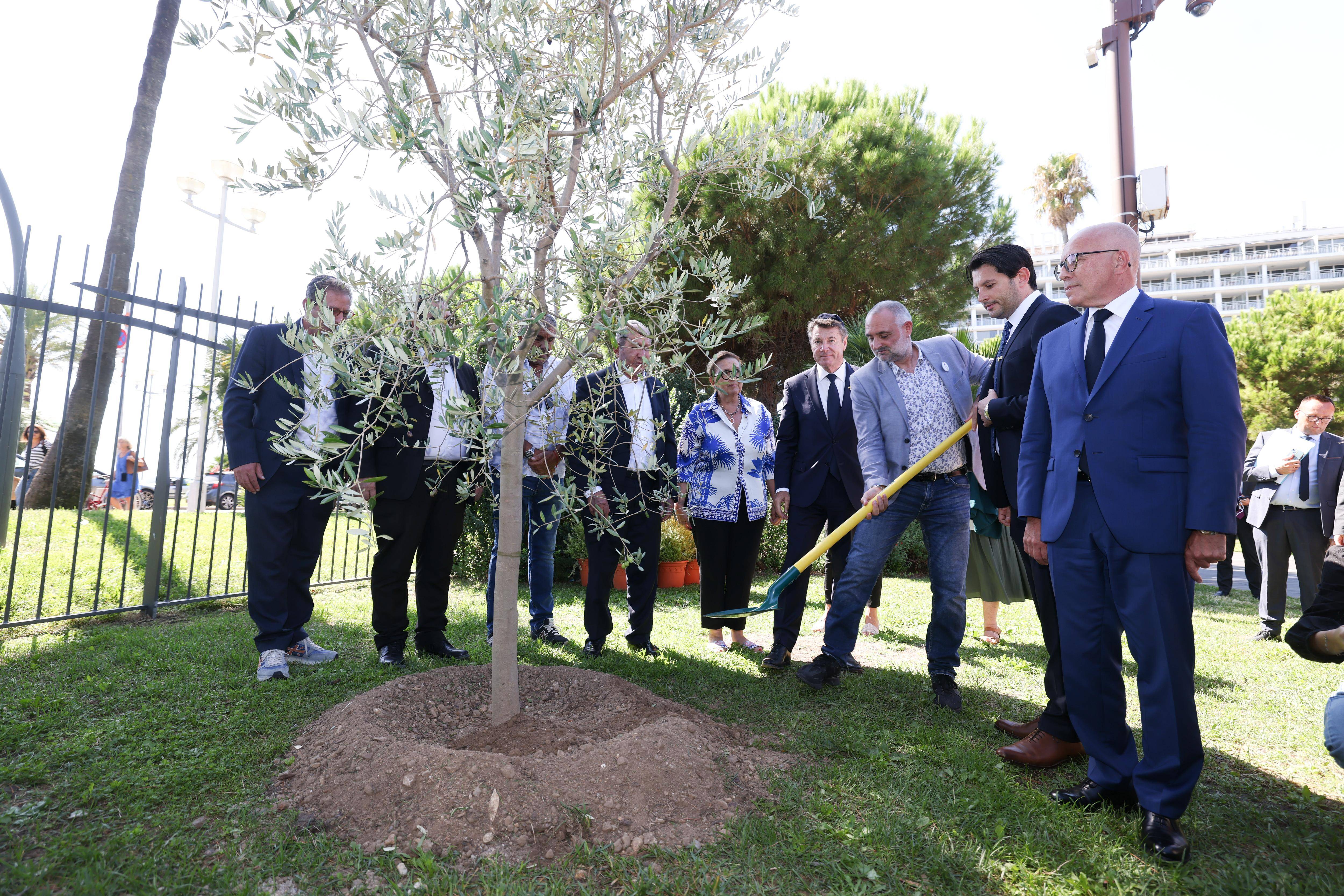 "Se rassembler face à toutes les formes de racisme: la Ville de Nice plante un arbre en hommage à Ilan Alimi, jeune juif assassiné pour sa confession en 2006